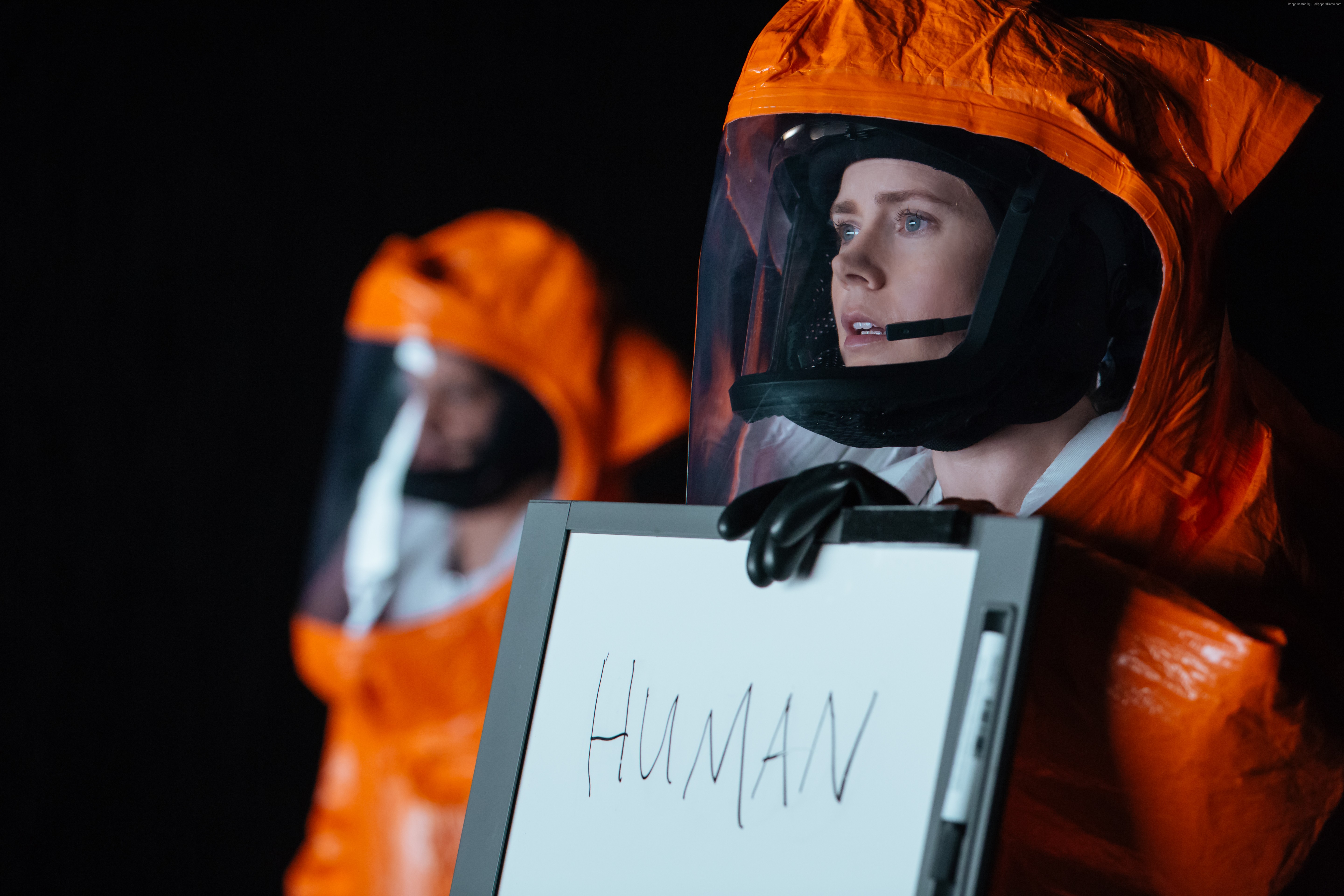 Amy Adams in Arrival HD Wallpaper