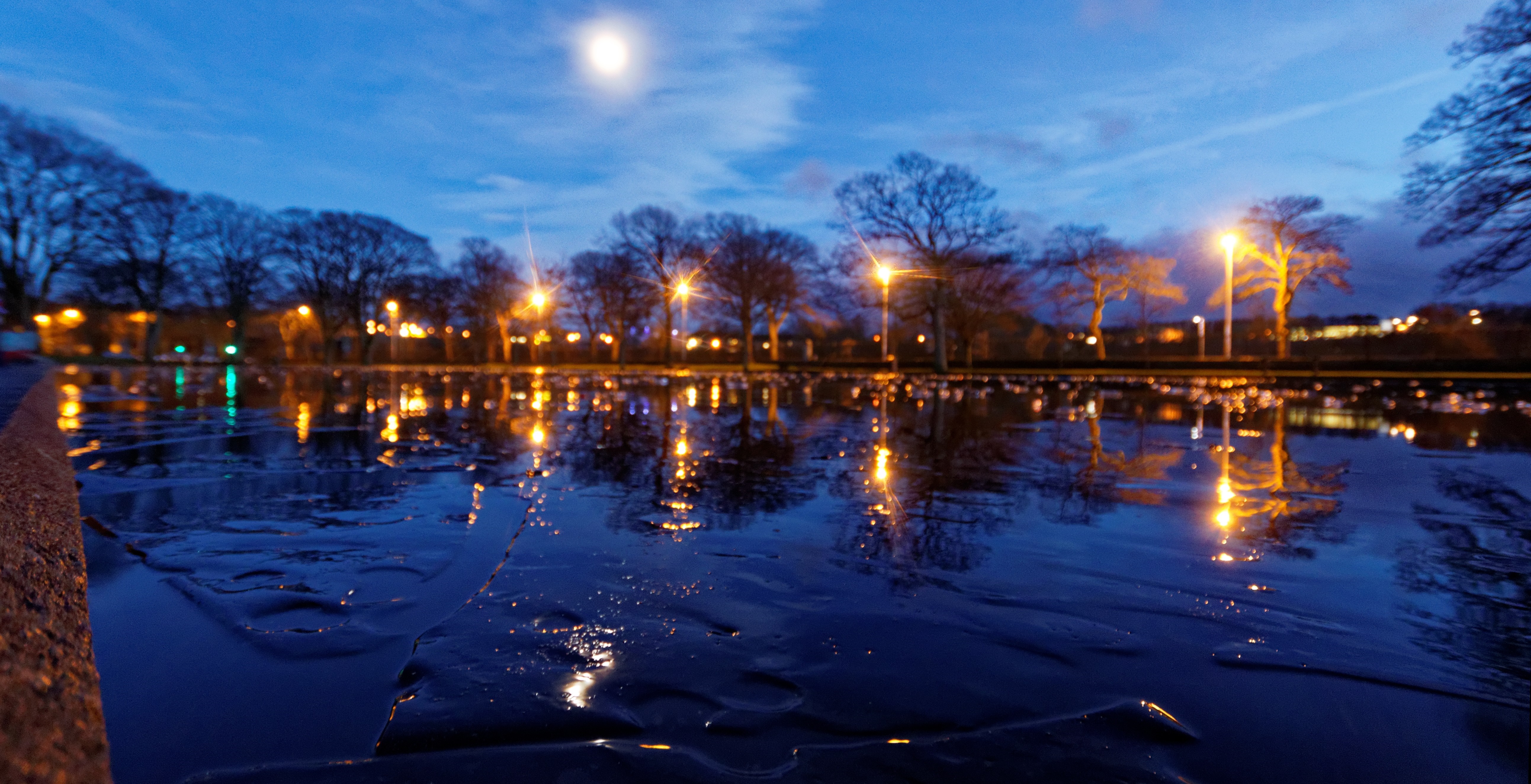 Night reflection of streetlights and trees on water HD Wallpaper