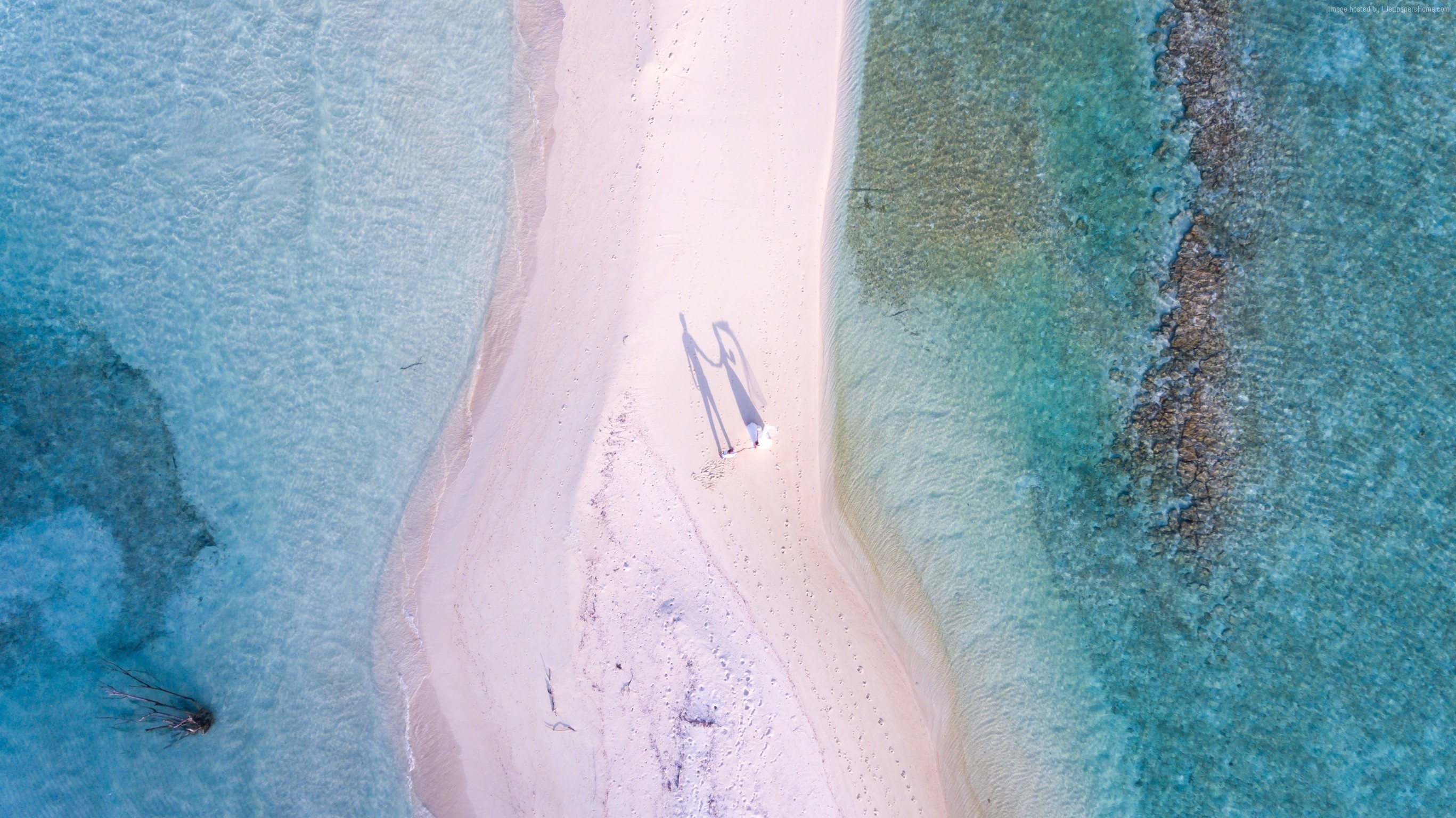 Couple holding hands on a sandbar in the ocean HD Wallpaper