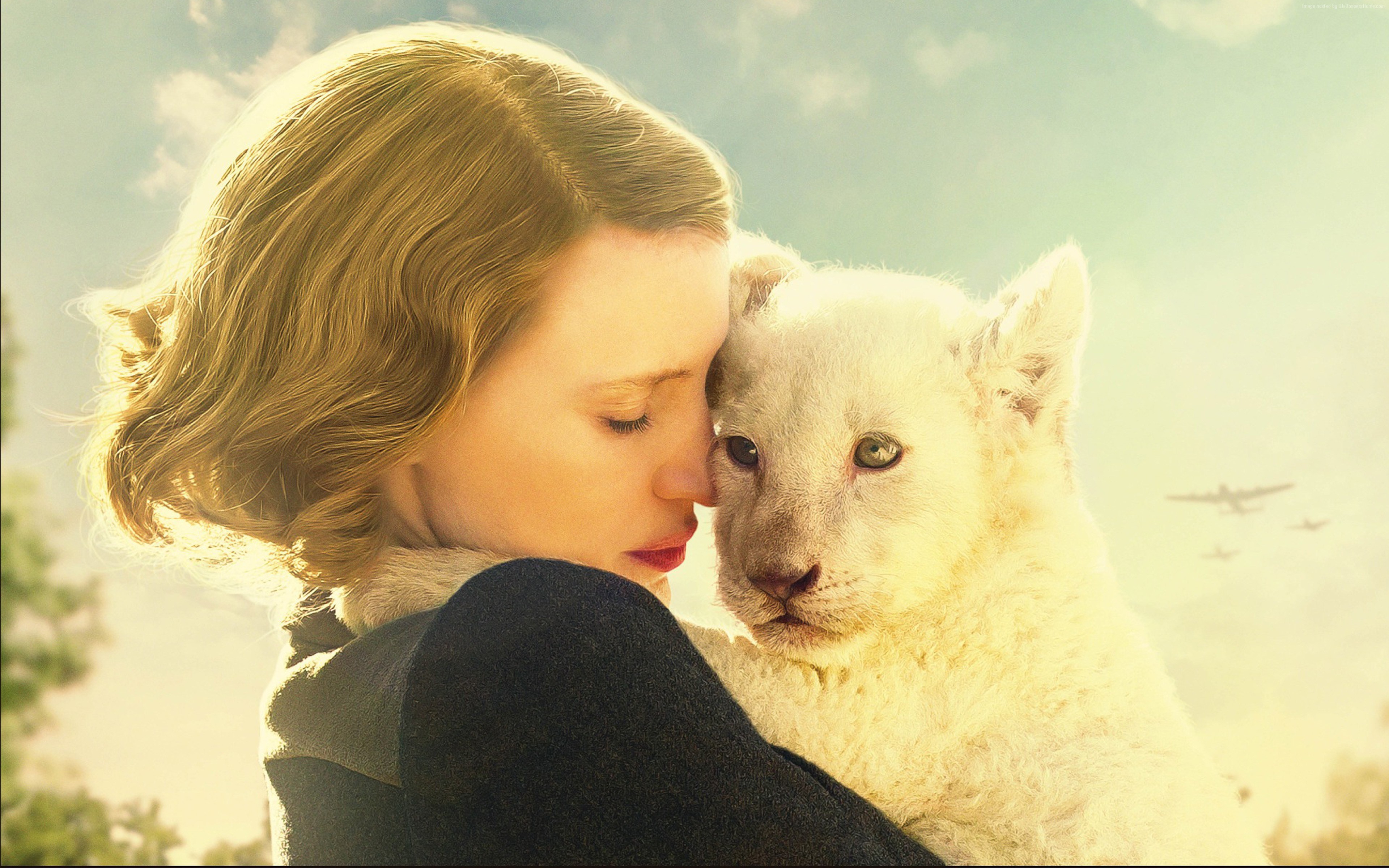 Jessica Chastain with a lion cub from The Zookeeper's Wife HD Wallpaper
