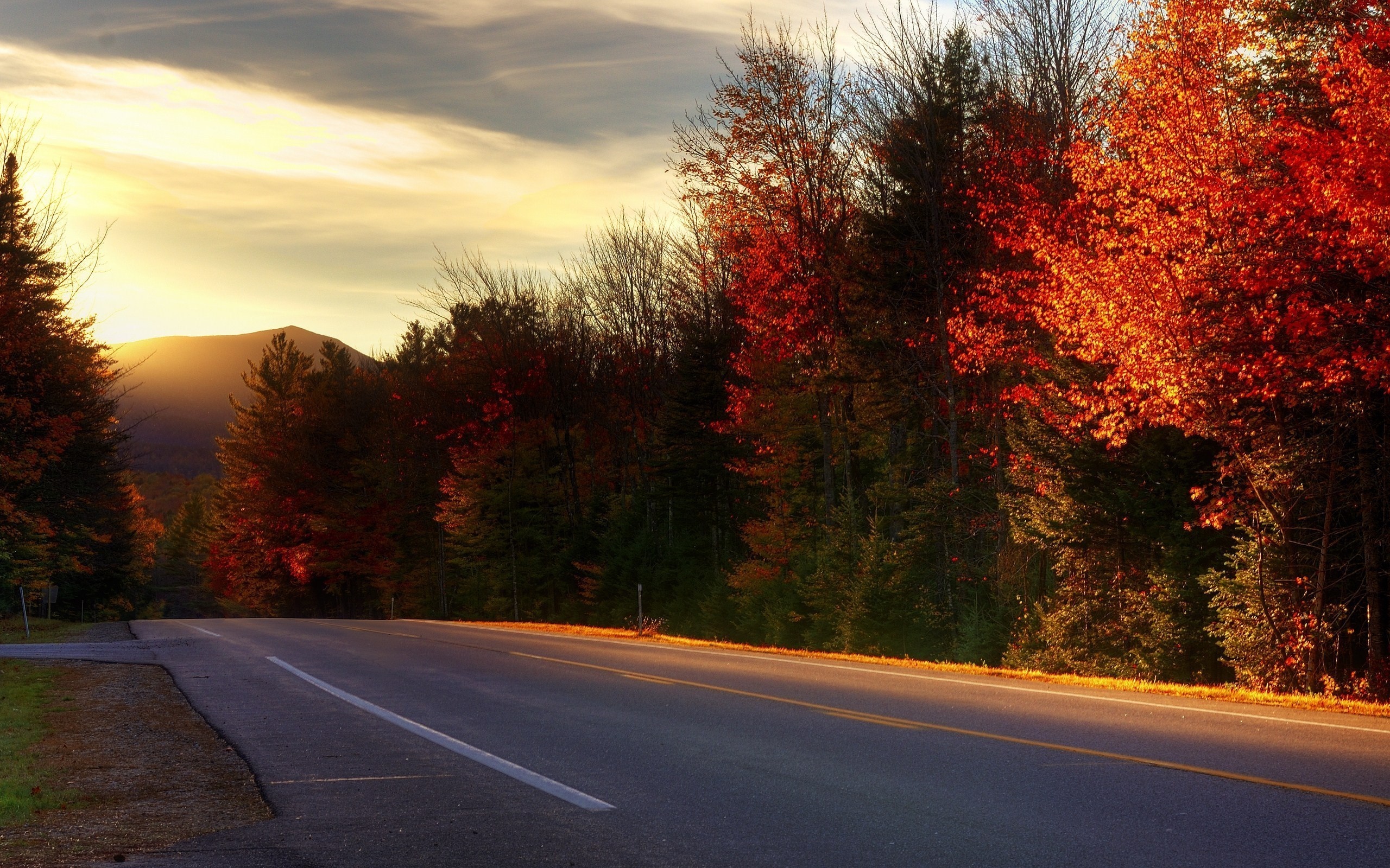 Road through autumn forest at sunset HD Wallpaper
