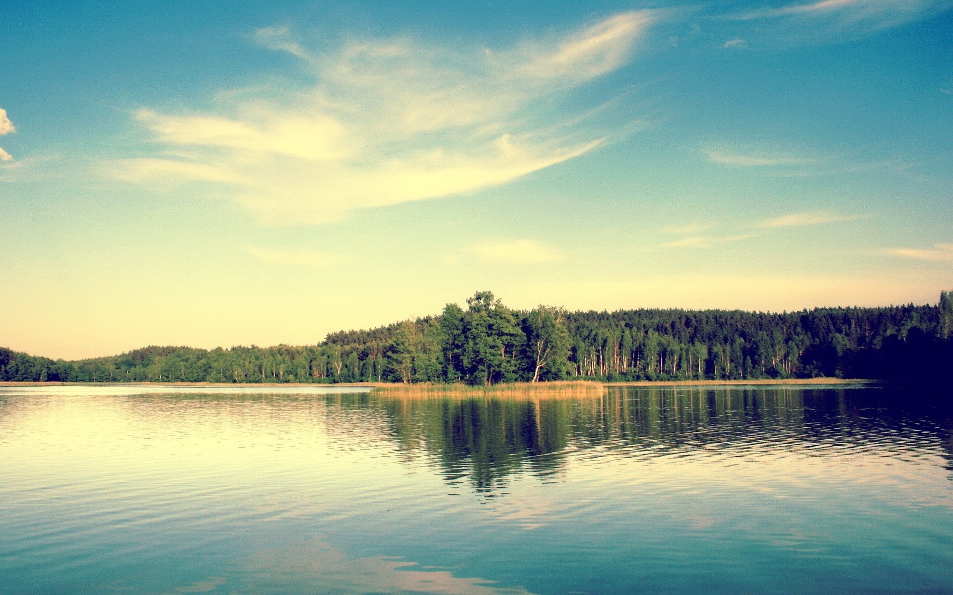 Lake with forest and sky reflection HD Wallpaper