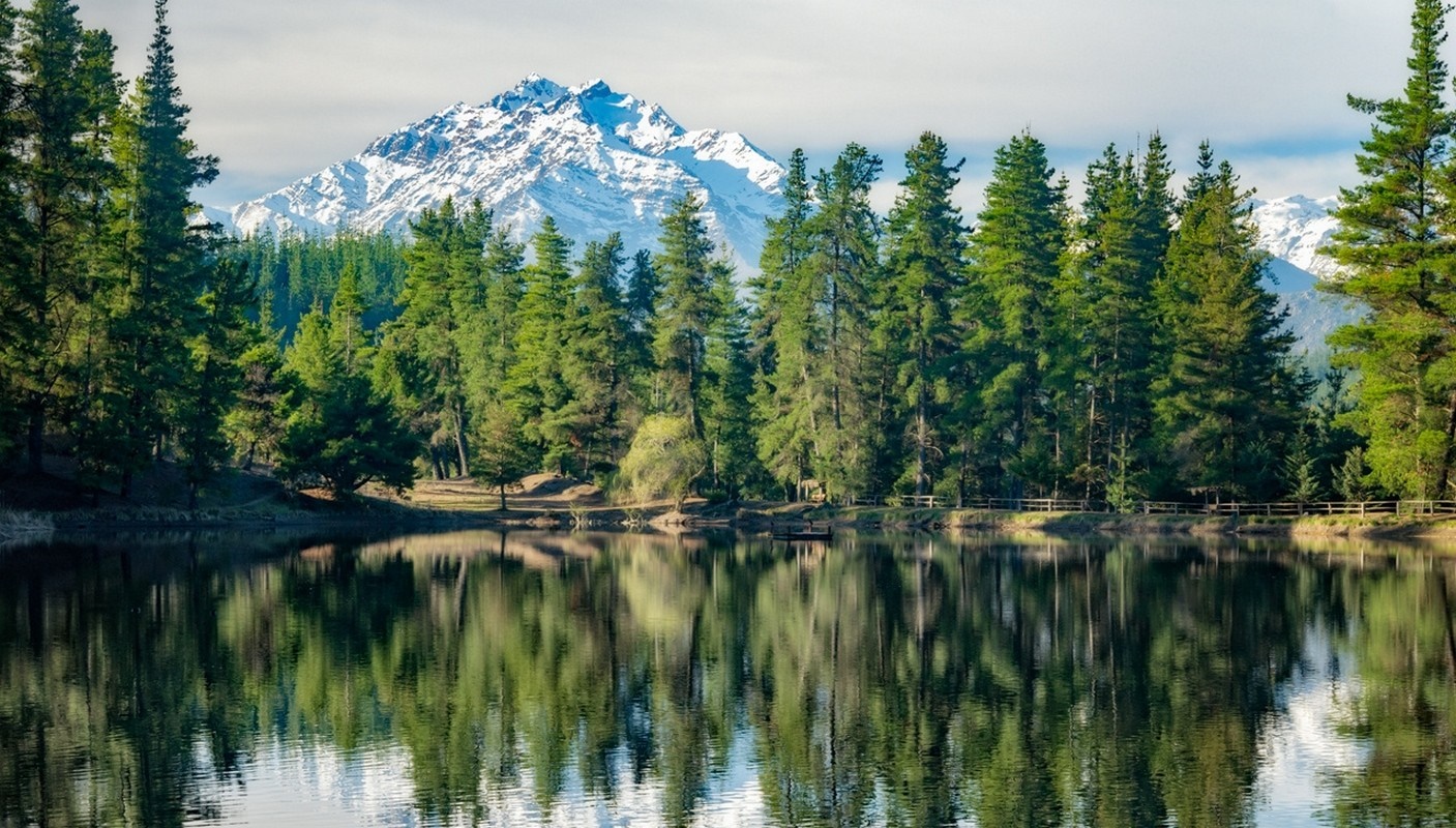Lake and forest with snow-capped mountains in the background HD Wallpaper