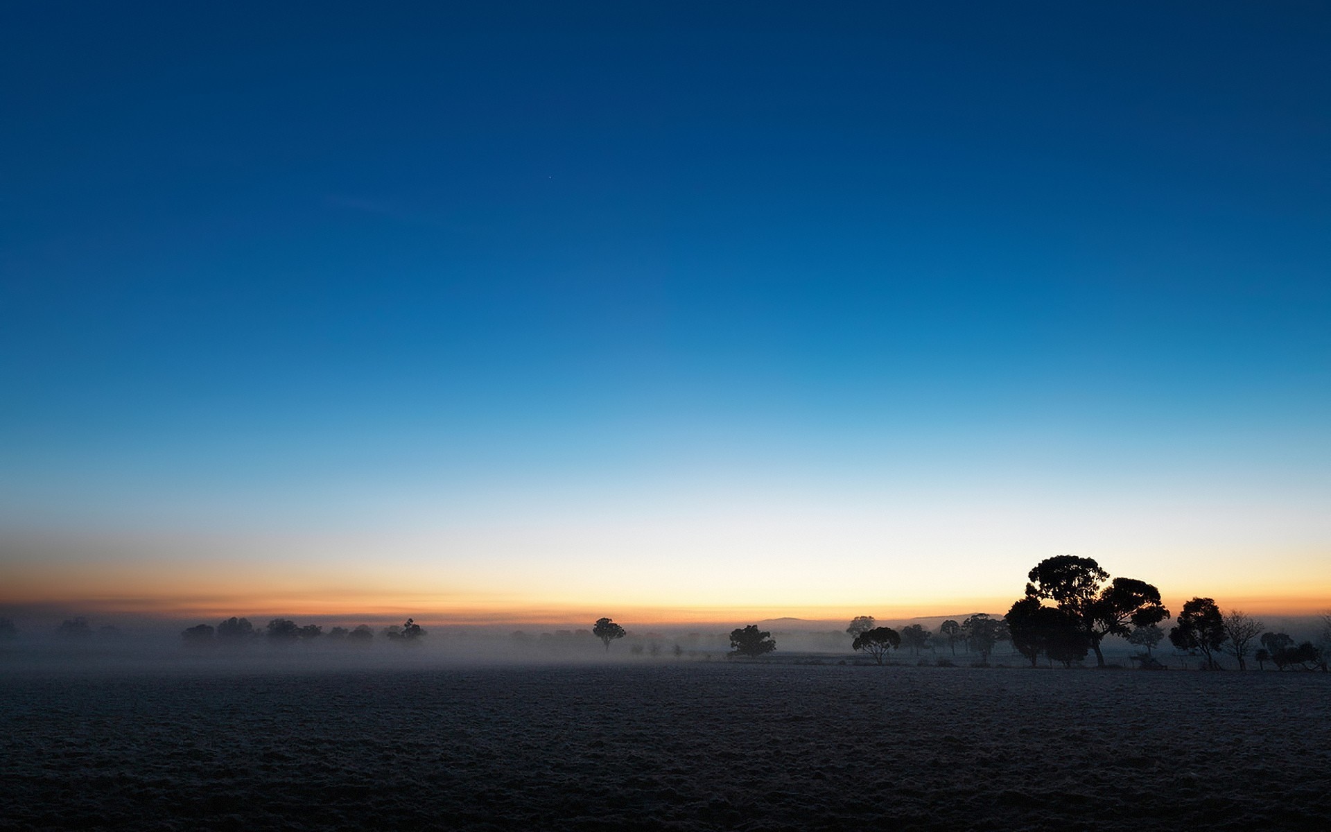 Misty field at sunrise with silhouetted trees HD Wallpaper