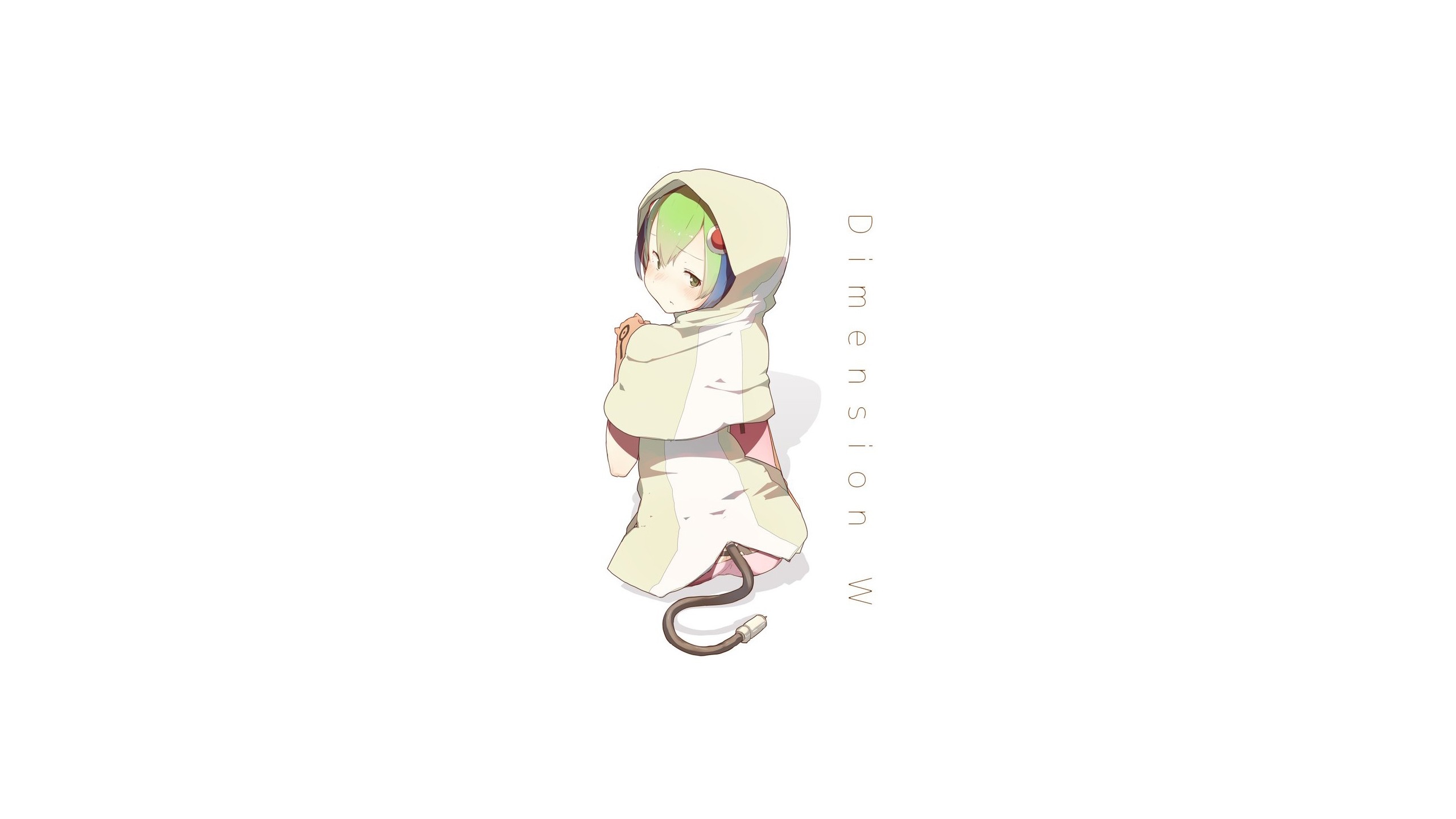 Yurizaki Mira from Dimension W HD Wallpaper