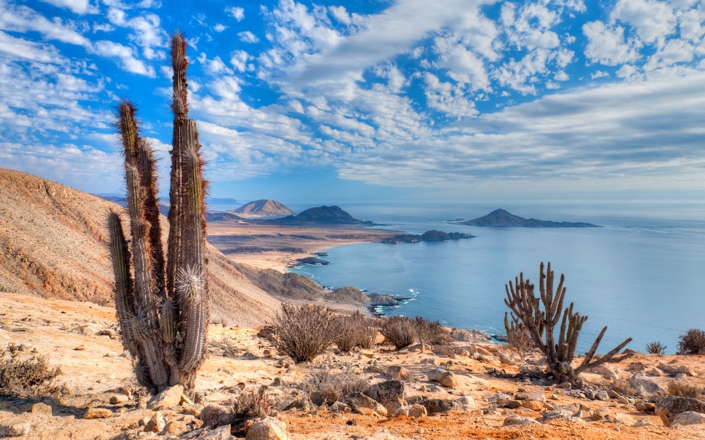 Desert coast with cacti and islands in the sea HD Wallpaper