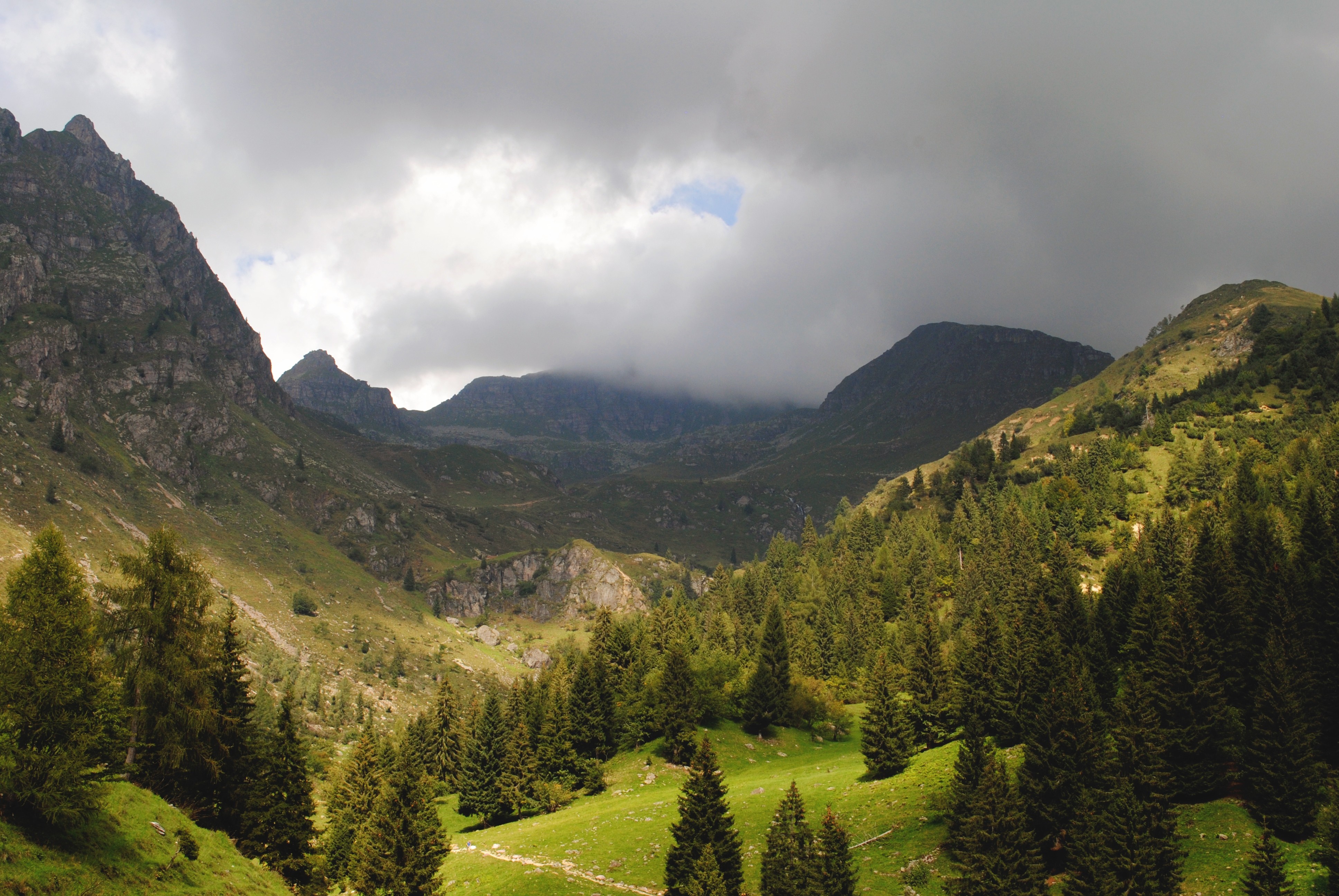 Mountain valley with pine trees and dramatic clouds HD Wallpaper