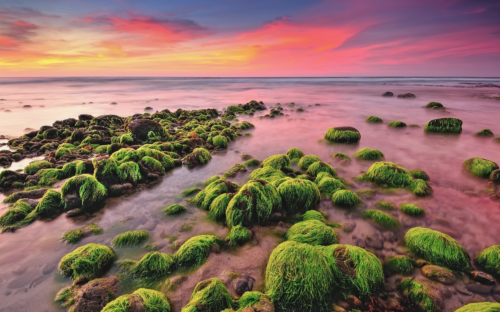 Mossy rocks on a shore at sunset HD Wallpaper