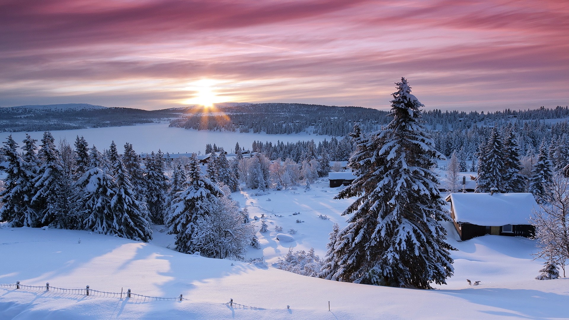 Winter landscape with snow-covered trees and a frozen lake at sunset HD Wallpaper