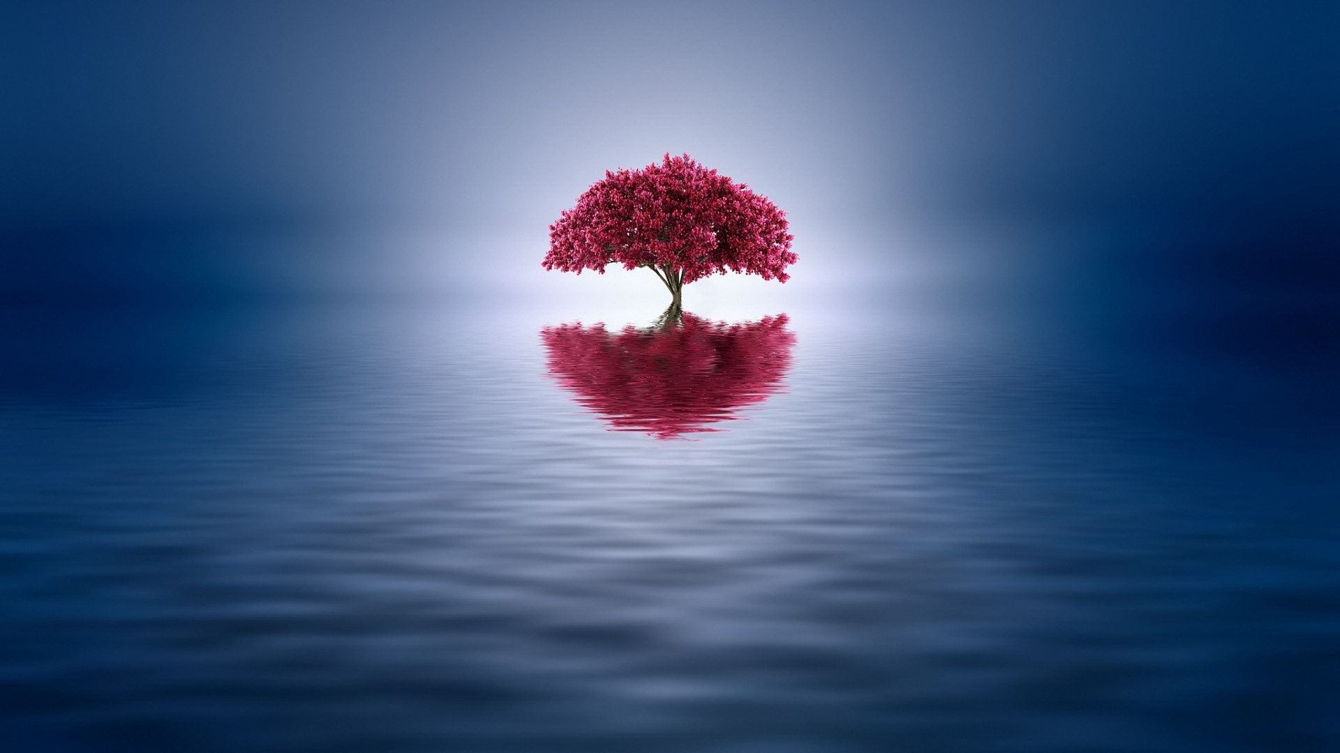Red tree reflected in water HD Wallpaper