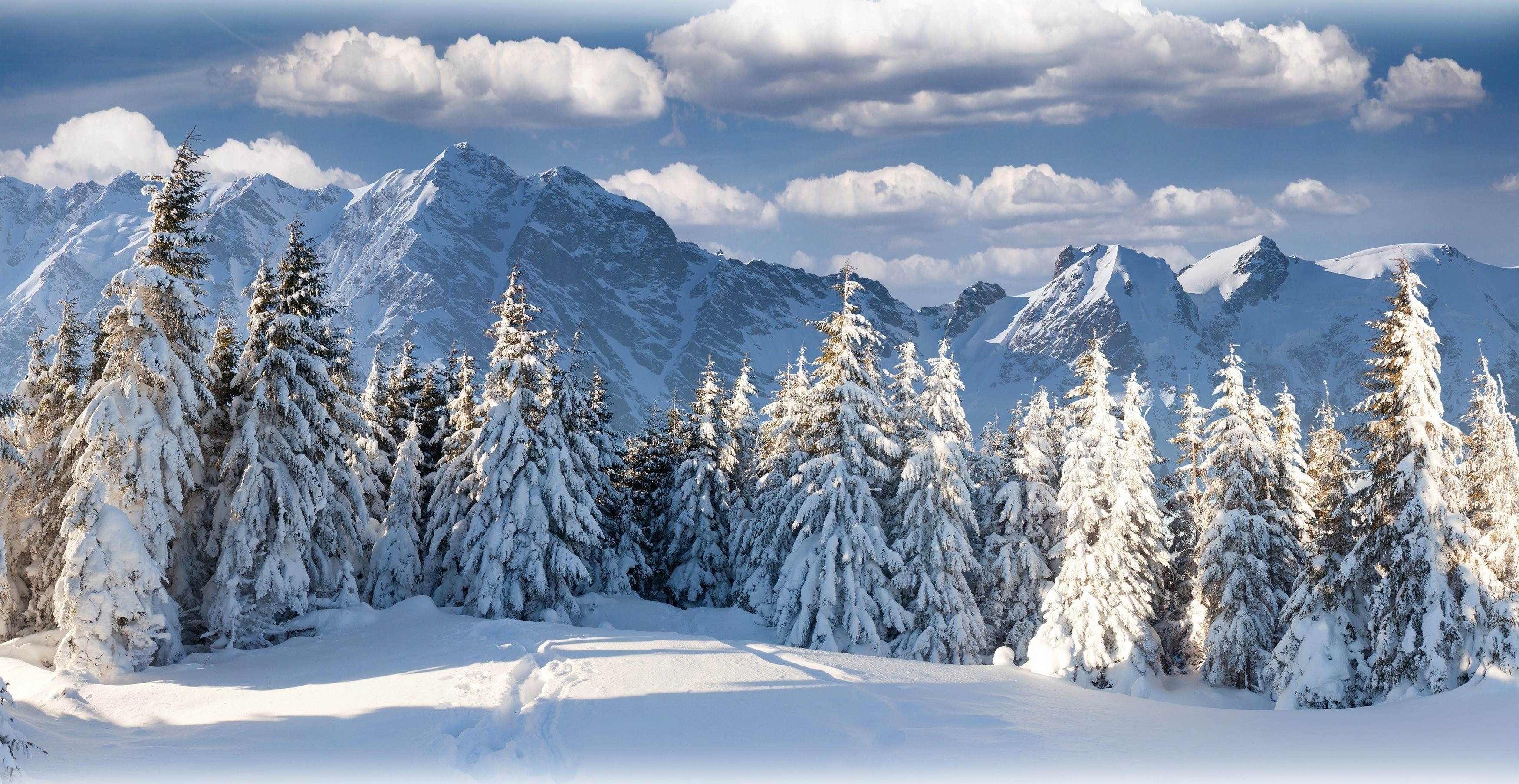 Snow-covered trees in front of majestic mountains under a cloudy sky HD Wallpaper