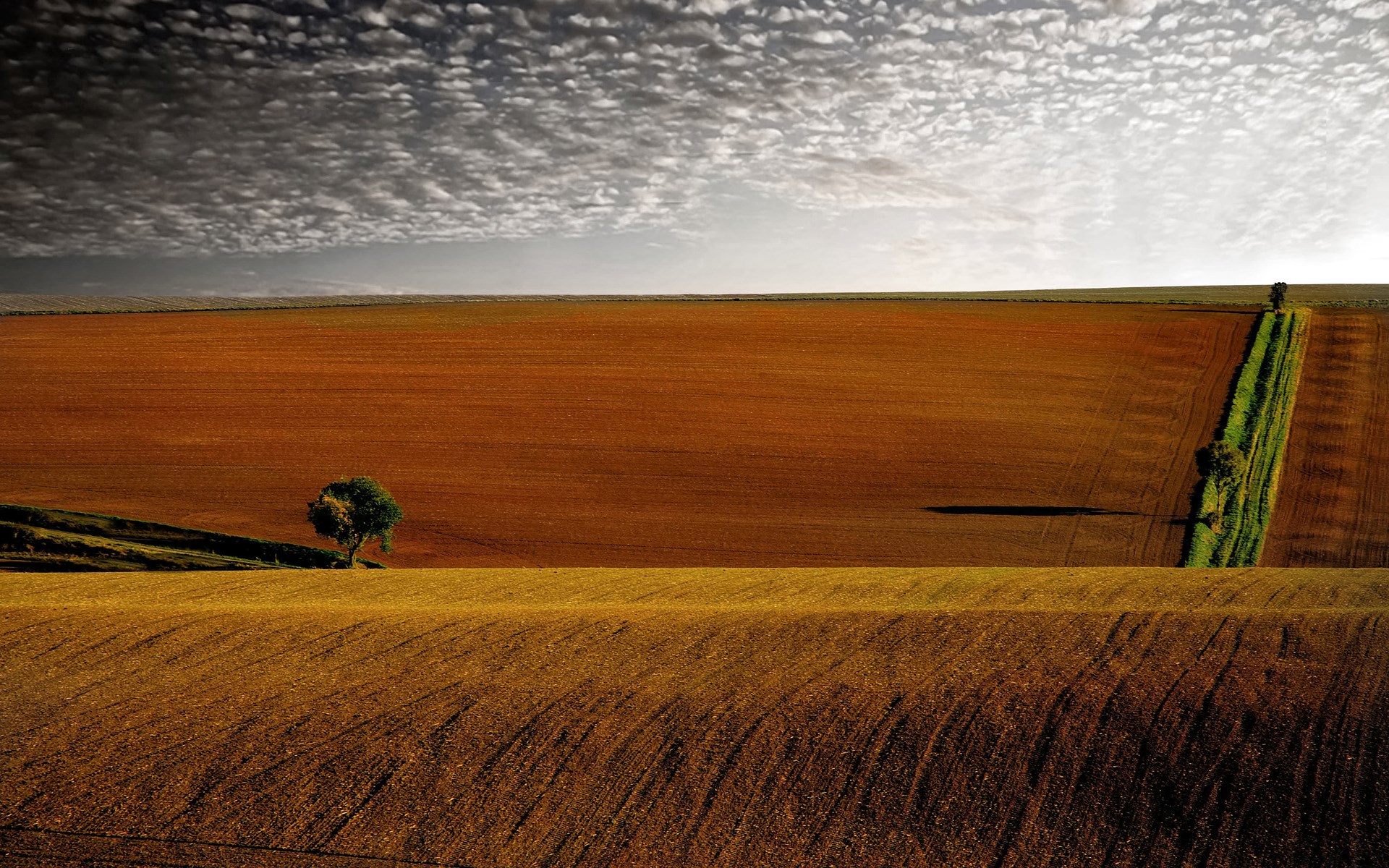 Agricultural fields with a lone tree and dramatic clouds HD Wallpaper