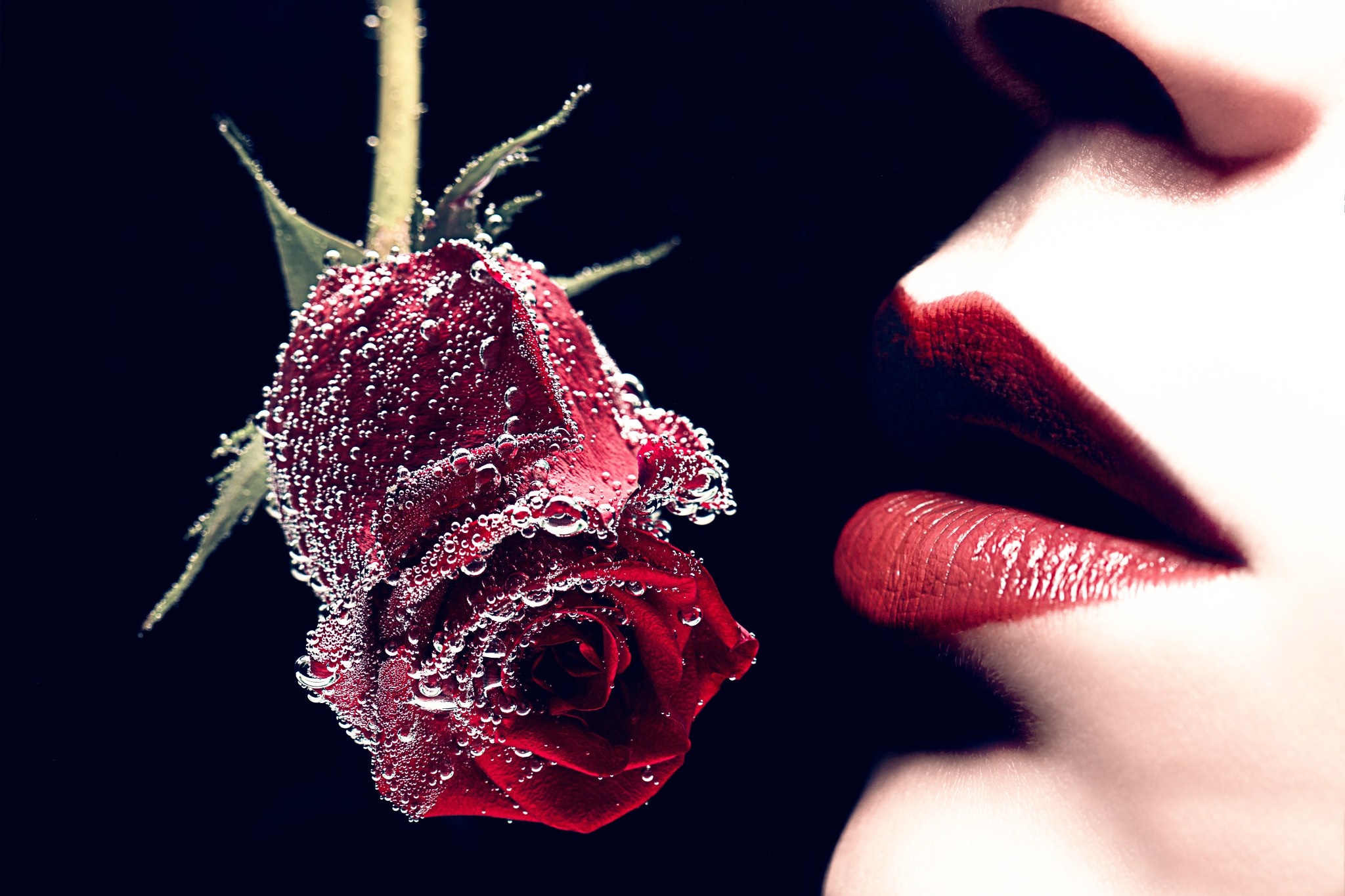 Close-up of a red rose with water droplets and woman's lips HD Wallpaper
