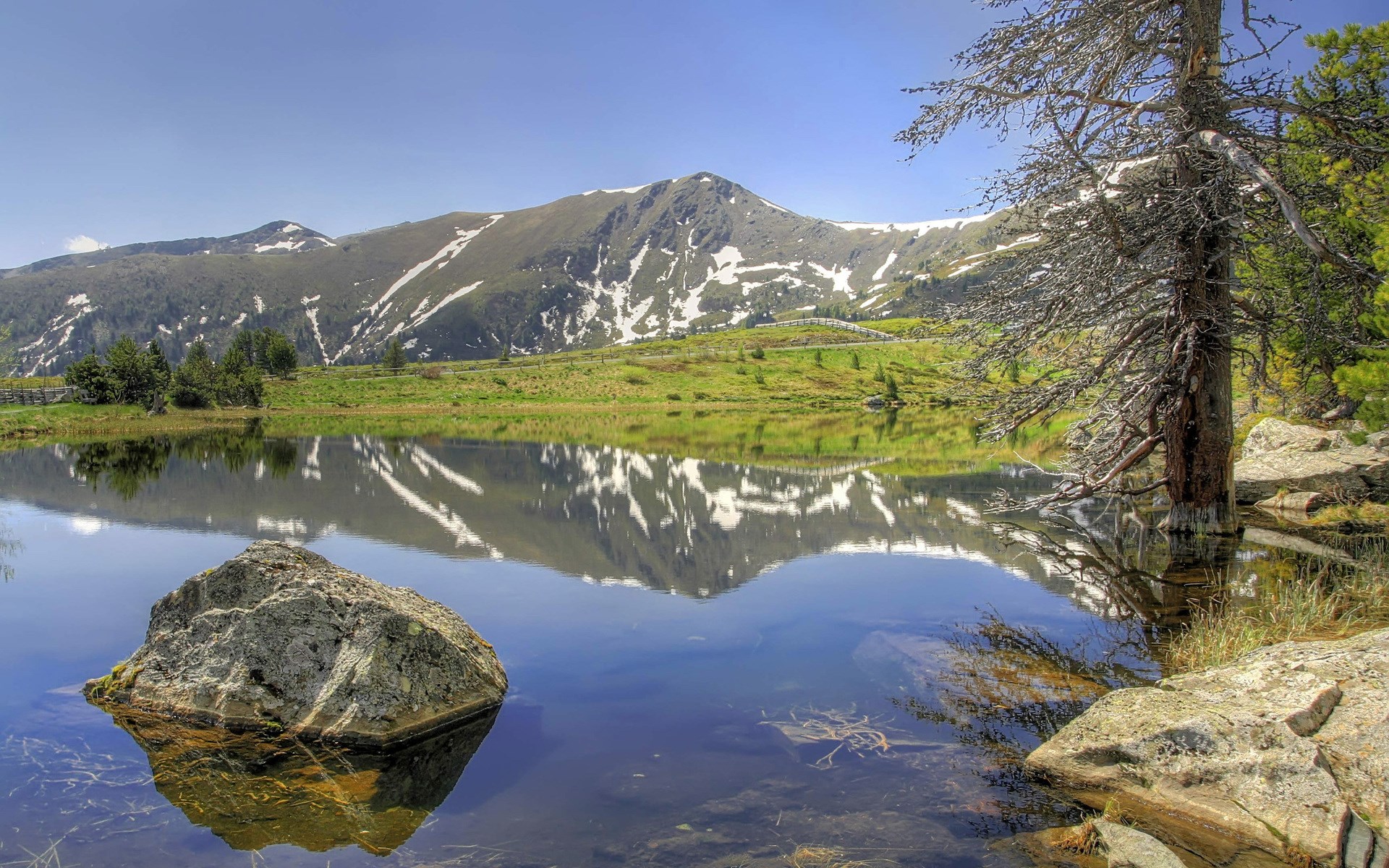 Mountain lake with reflections and a dead tree HD Wallpaper