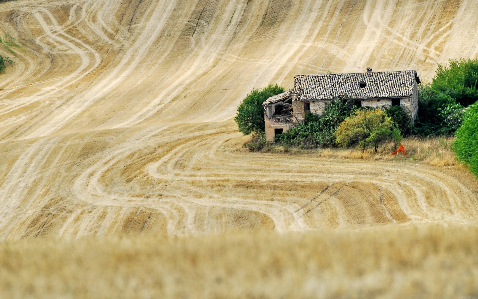 Abandoned stone house in a dry, rolling field HD Wallpaper