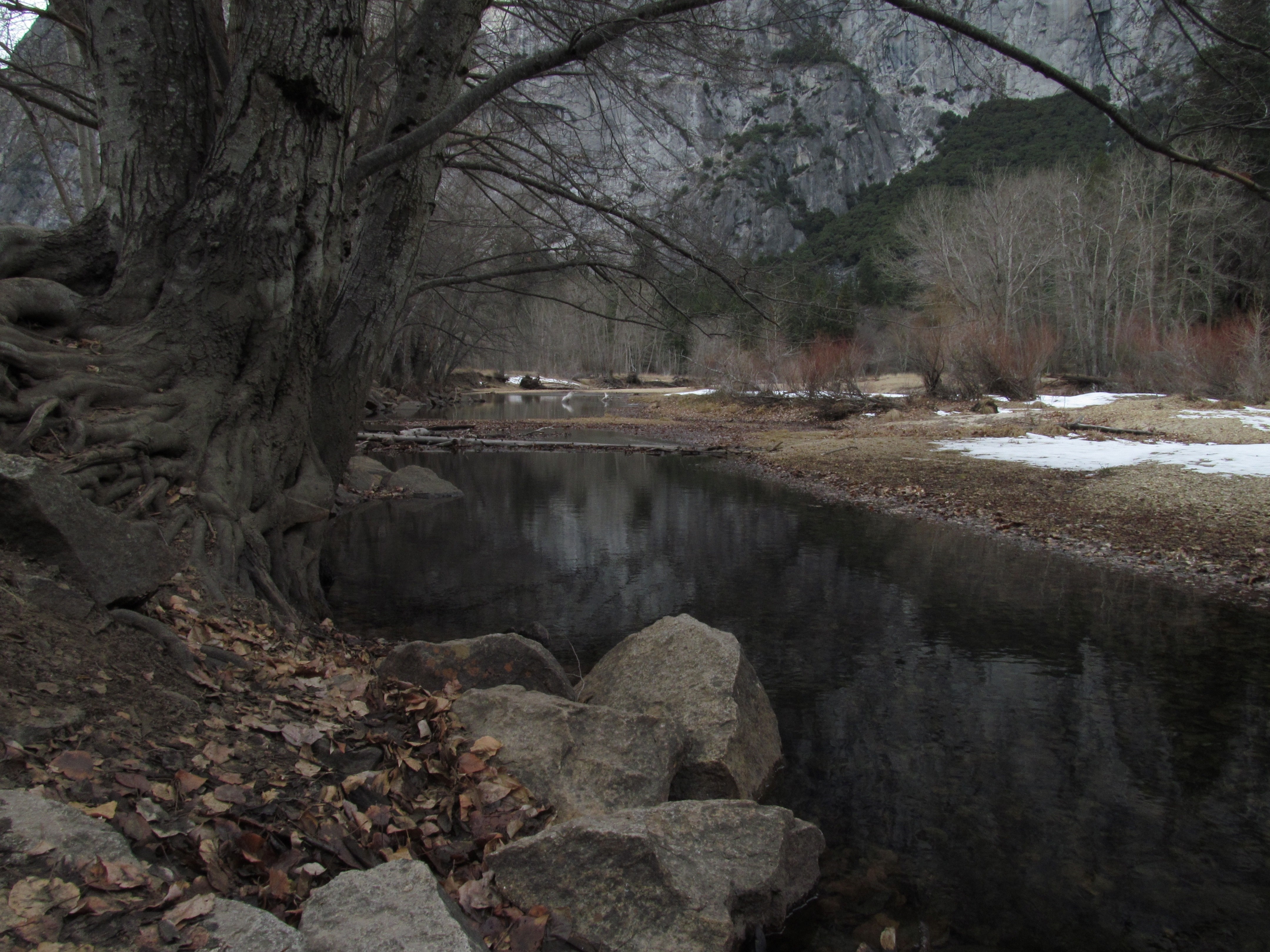 River and Trees in Yosemite National Park HD Wallpaper
