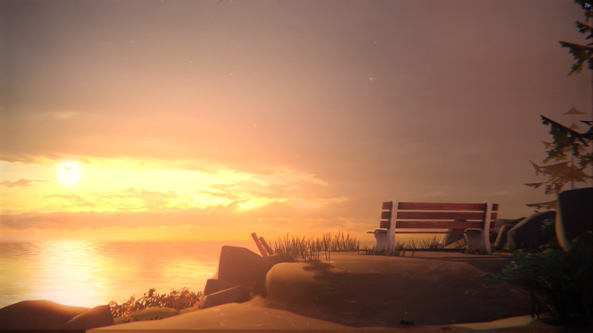 Bench overlooking the sea at sunset HD Wallpaper