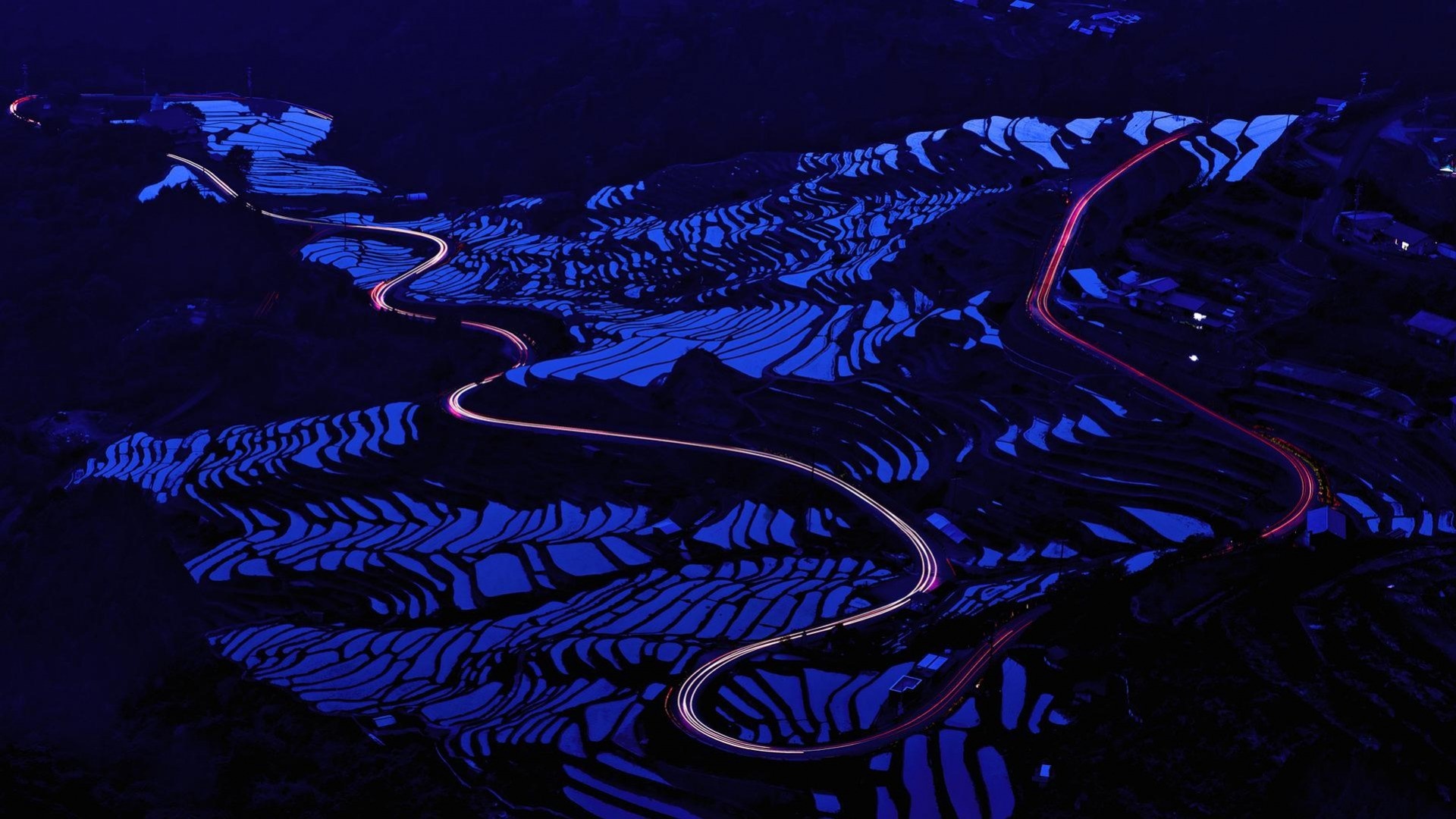 Long exposure photography of illuminated rice paddies at night HD Wallpaper