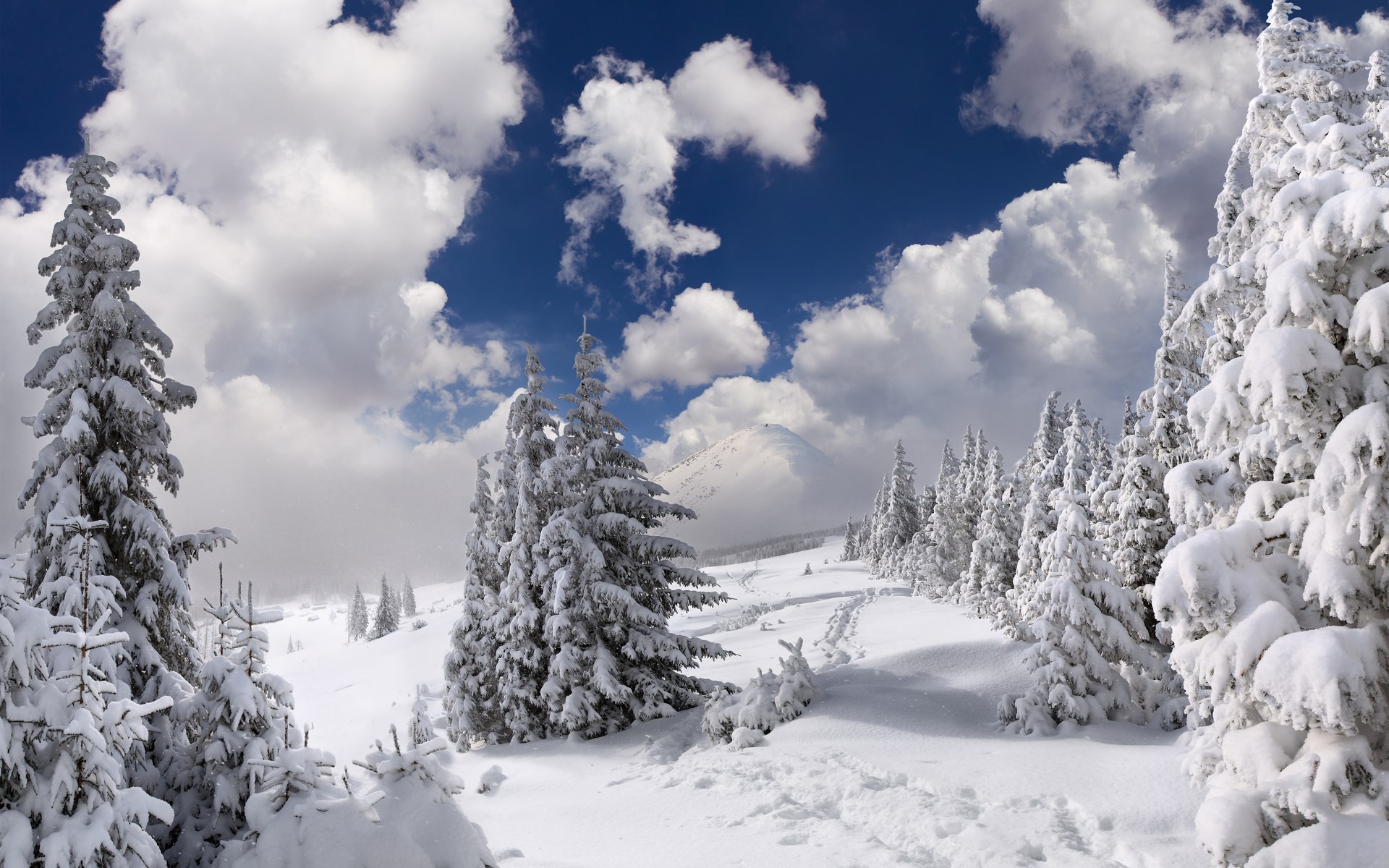 Snowy mountain landscape with pine trees and clouds HD Wallpaper