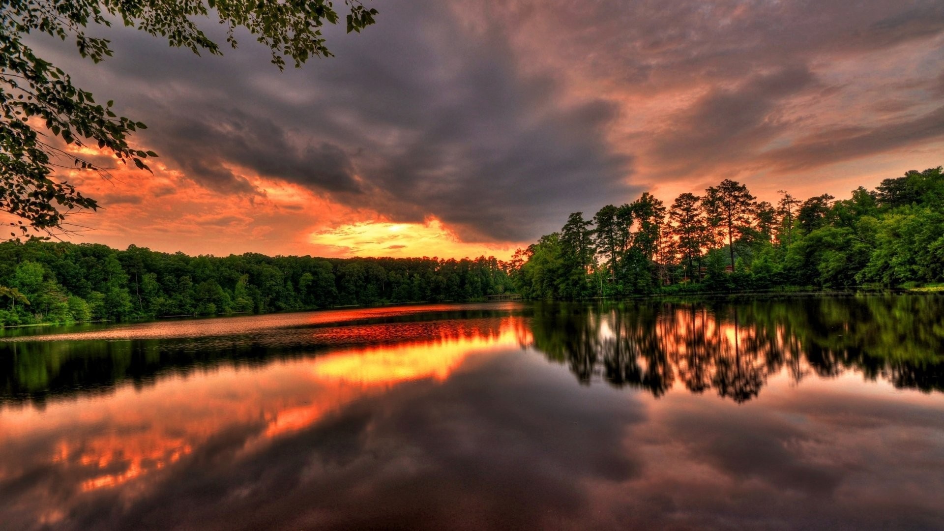 Sunset over a lake with trees and reflections HD Wallpaper