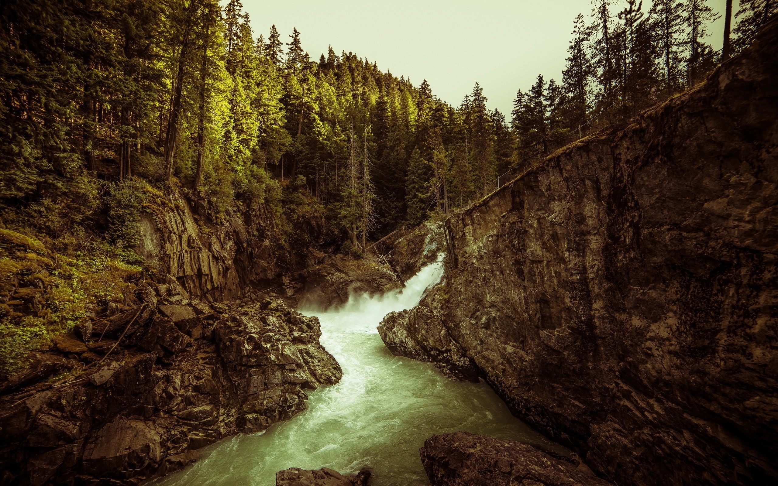 Waterfall flowing through a rocky gorge with a dense forest HD Wallpaper