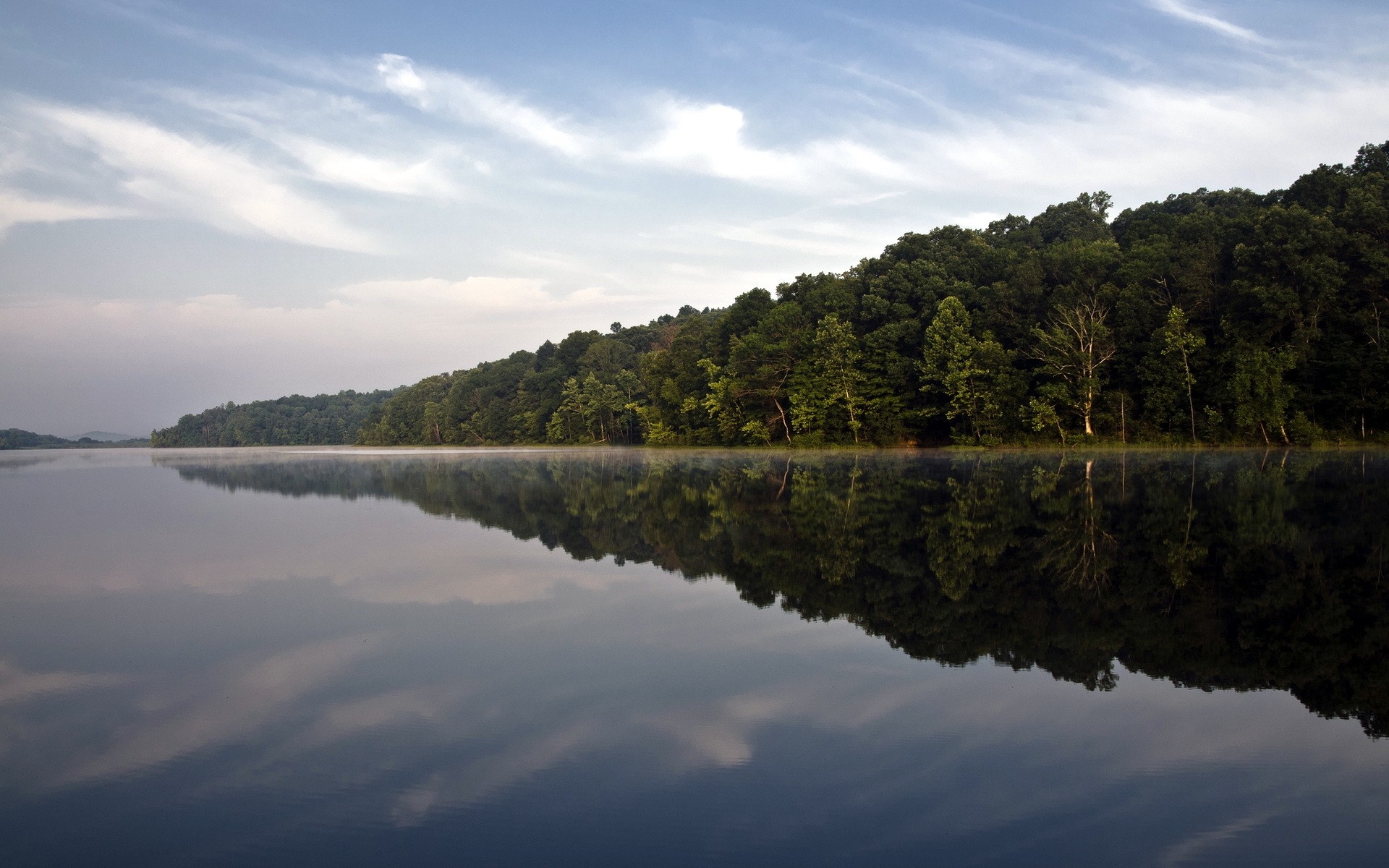 Forest reflecting on a calm lake at sunrise HD Wallpaper