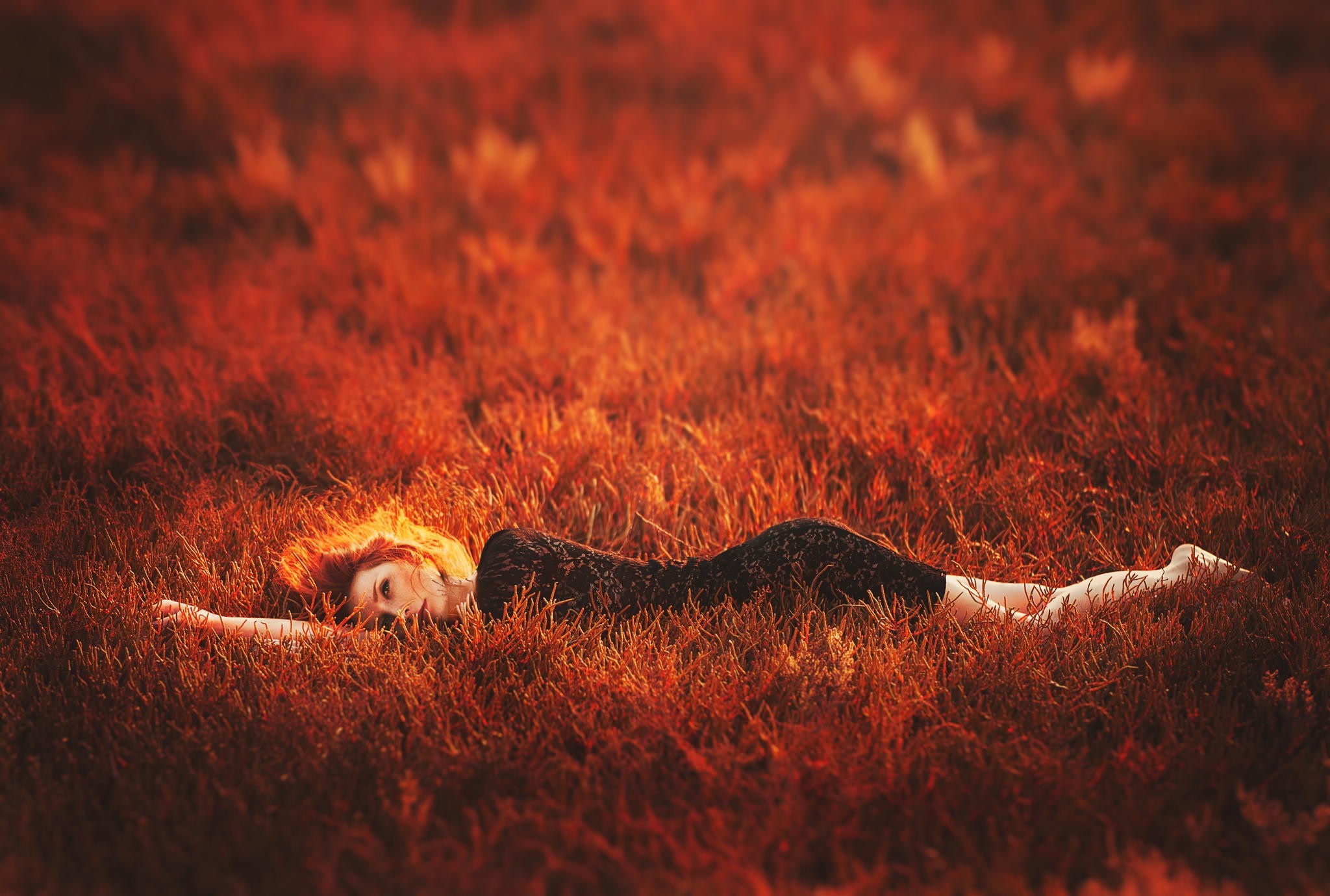 Redhead woman lying in a field of dry grass HD Wallpaper
