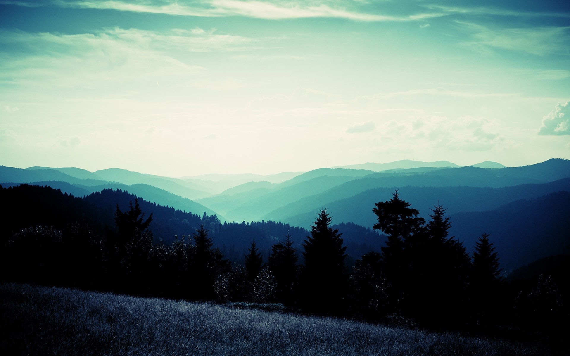 Misty mountain range with silhouetted trees at dawn HD Wallpaper
