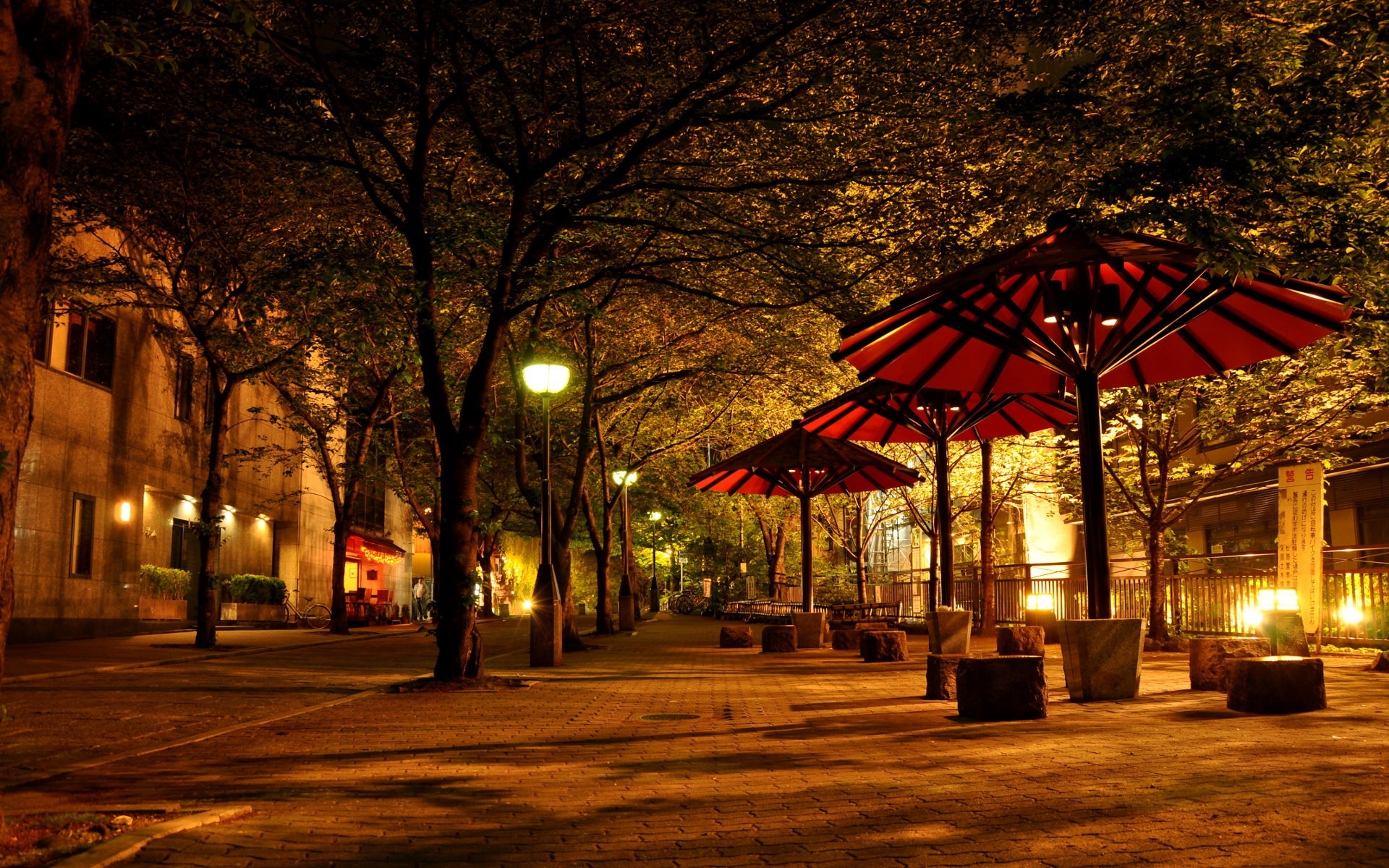 Nighttime street with trees, lights, and umbrellas HD Wallpaper