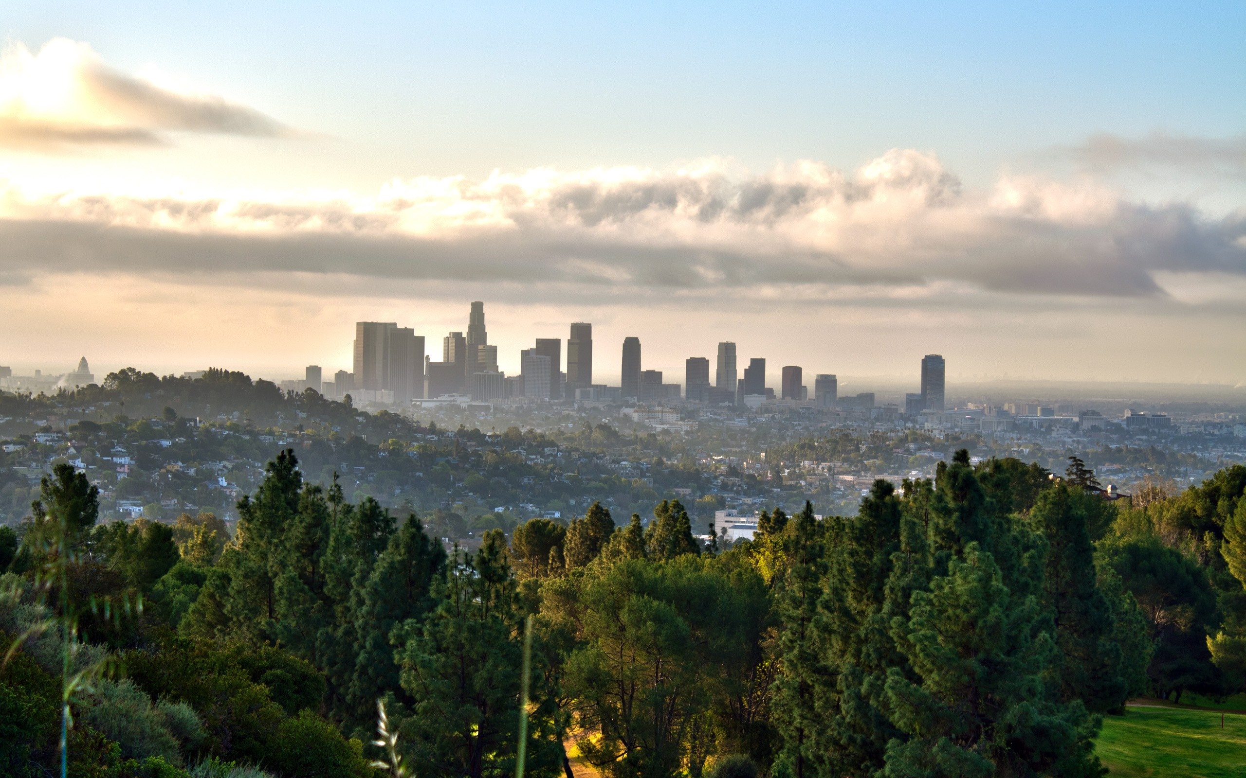 Los Angeles skyline at sunrise with trees in foreground HD Wallpaper
