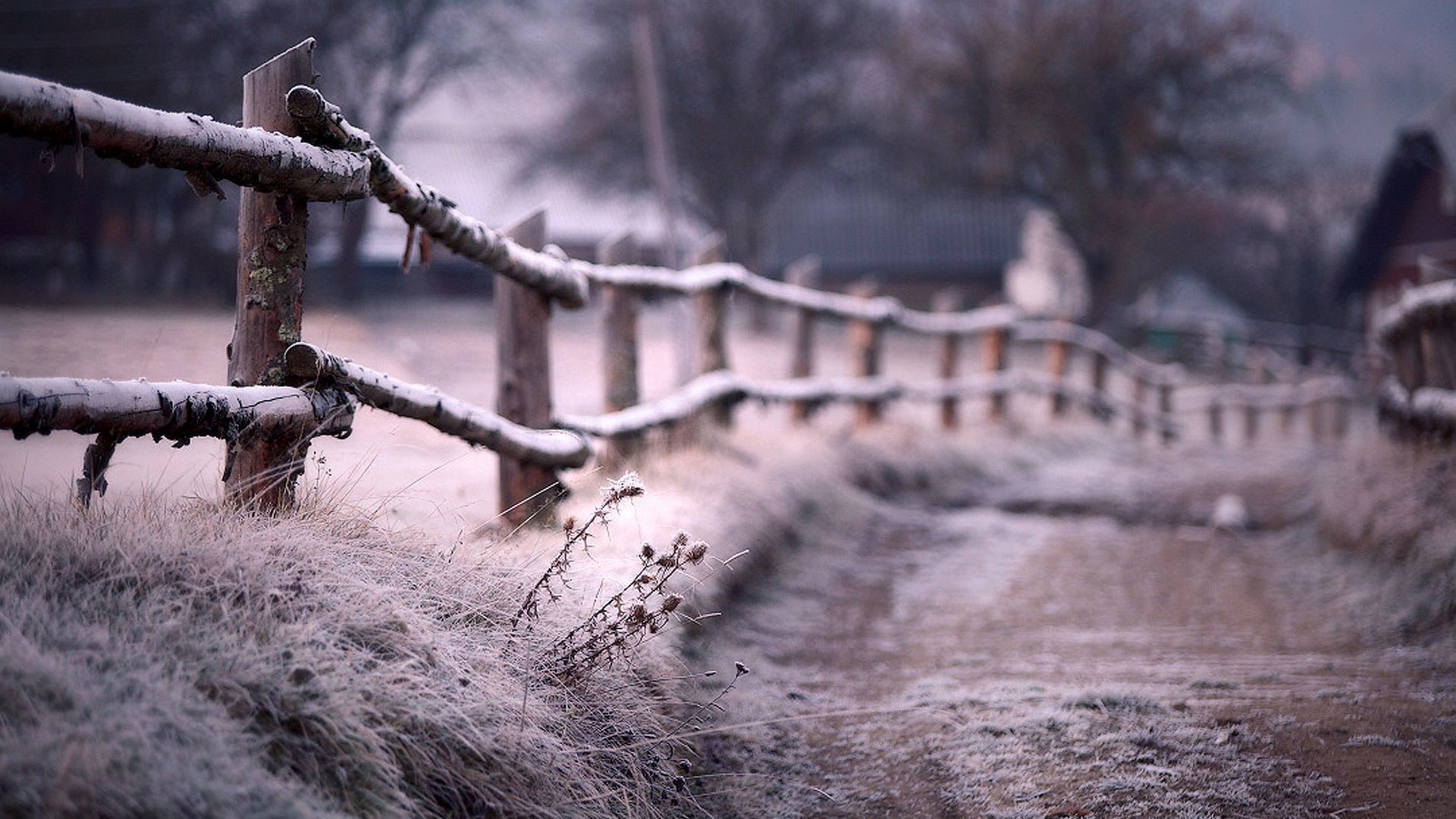 Frosty wooden fence along a path in winter HD Wallpaper