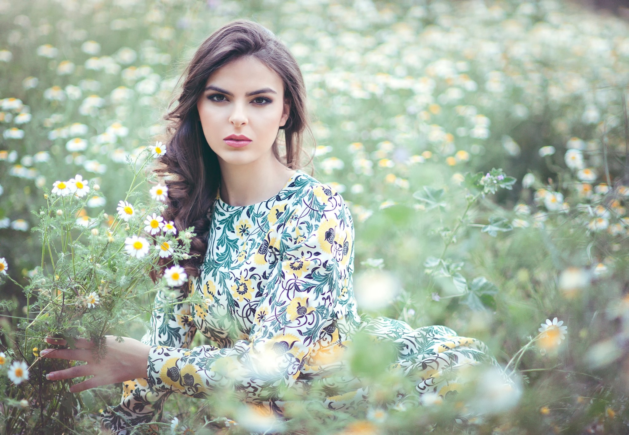 Woman in a floral dress in a field of daisies HD Wallpaper