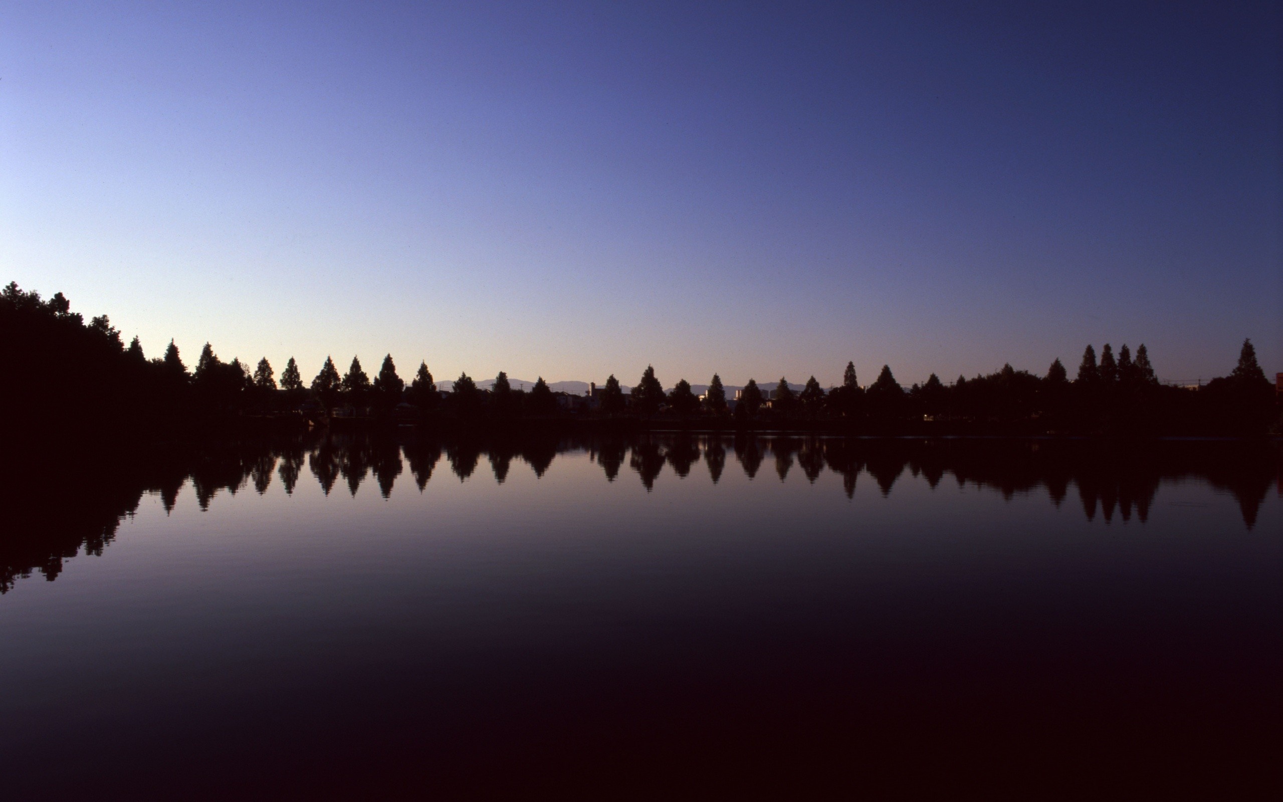 Silhouette of trees reflected in a lake at dusk HD Wallpaper