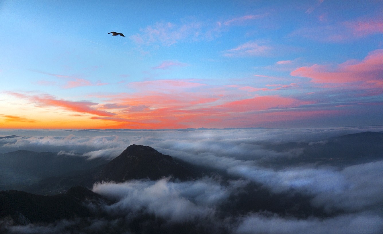 Bird flying over mountains at sunset with clouds HD Wallpaper