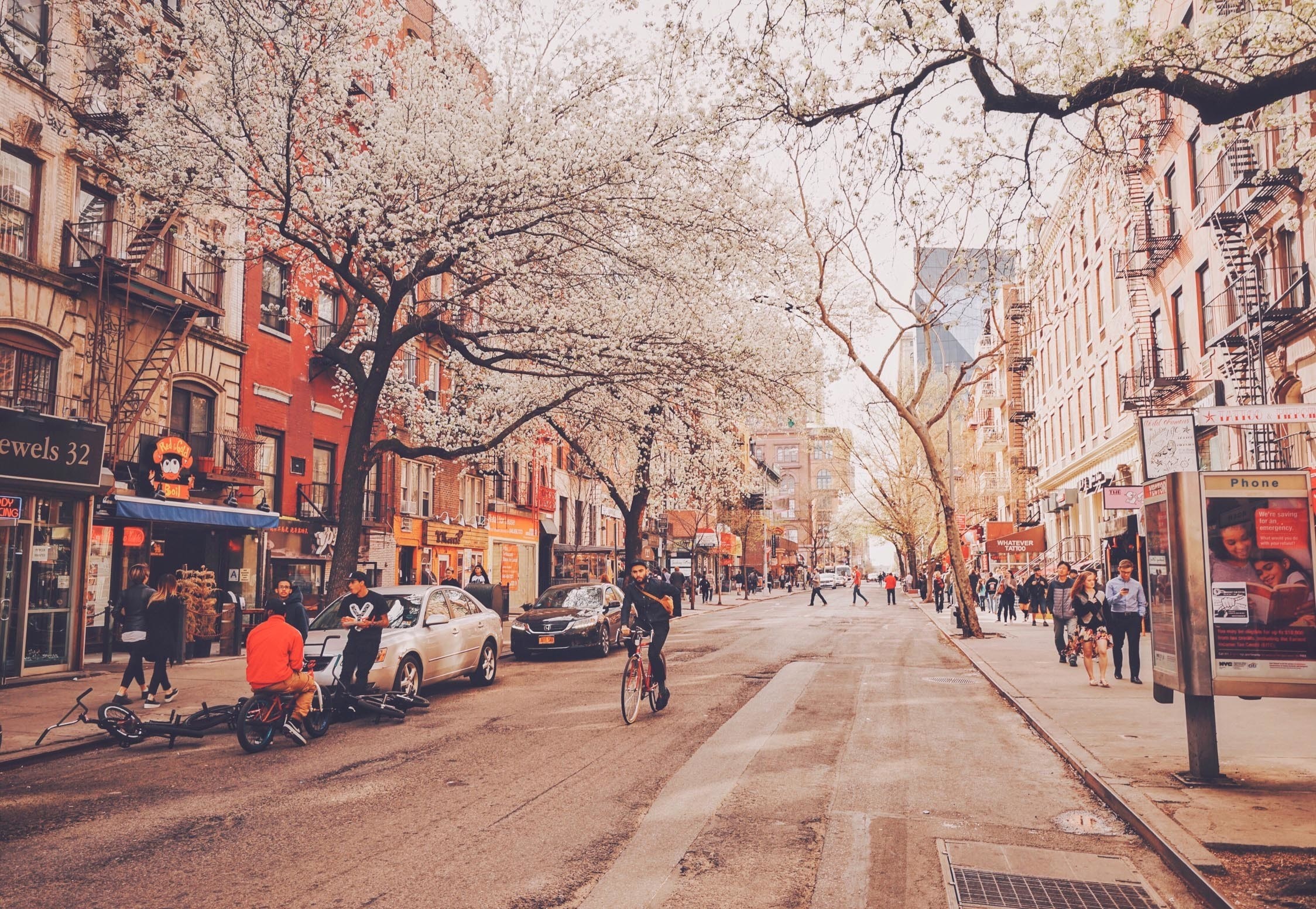 Street scene in New York City during spring with blooming trees HD Wallpaper