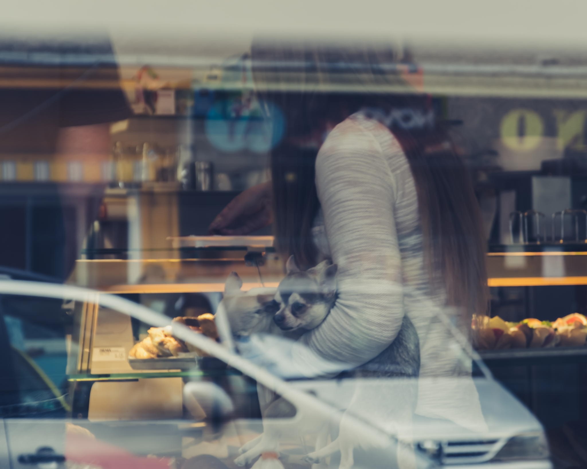 Woman holding chihuahua in a cafe HD Wallpaper