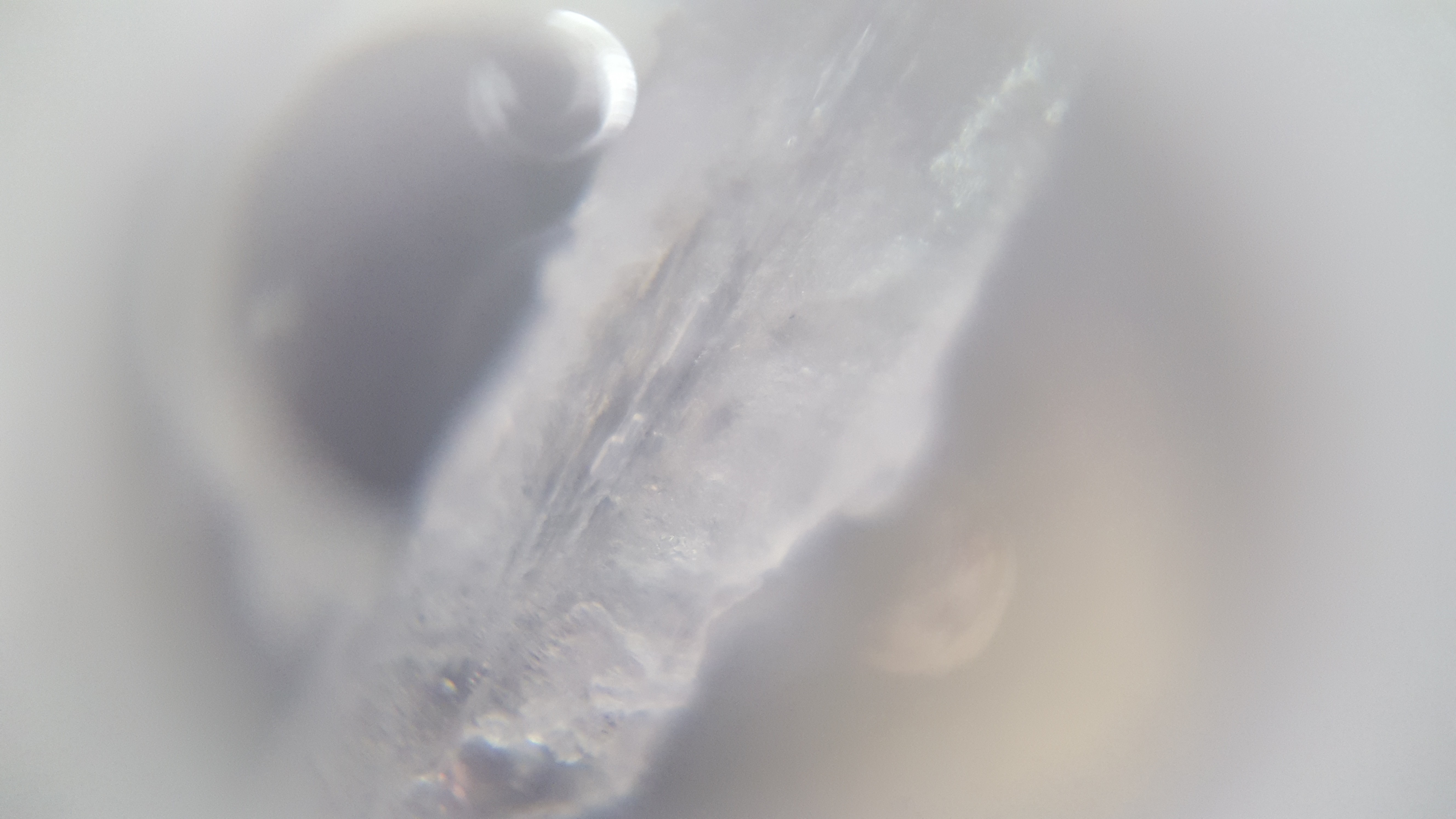Close-up macro photography of ice crystals HD Wallpaper