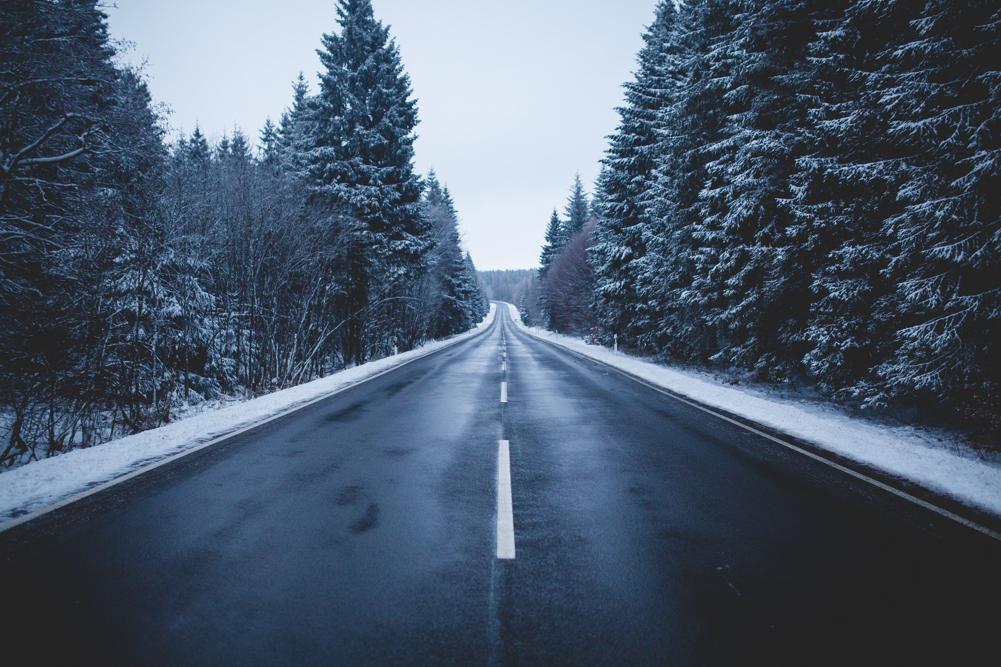 Winter road through a snow-covered forest HD Wallpaper