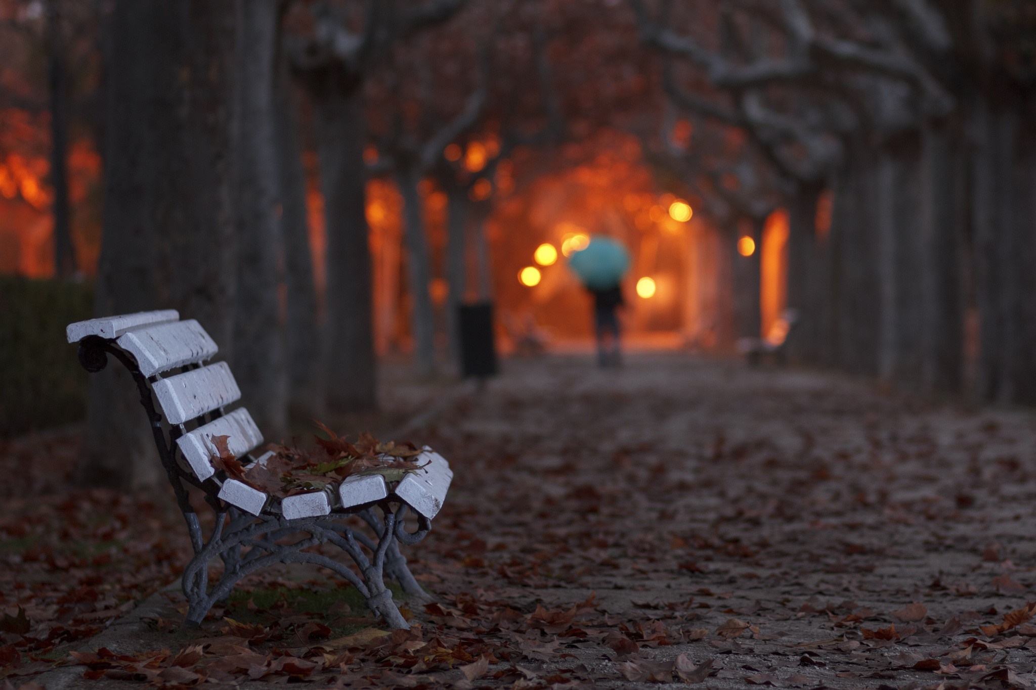 Park bench in autumn with person holding umbrella in background HD Wallpaper