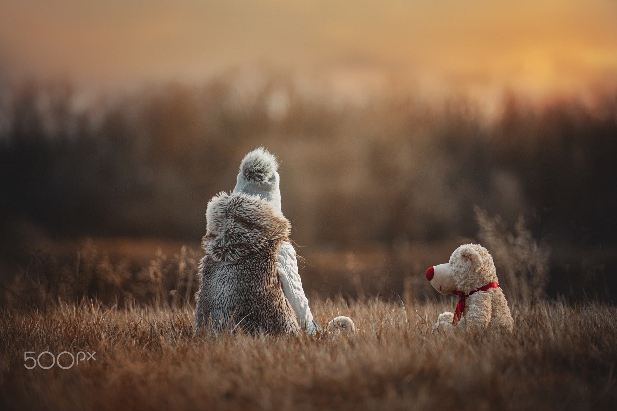 Child and teddy bear in a field at sunrise HD Wallpaper