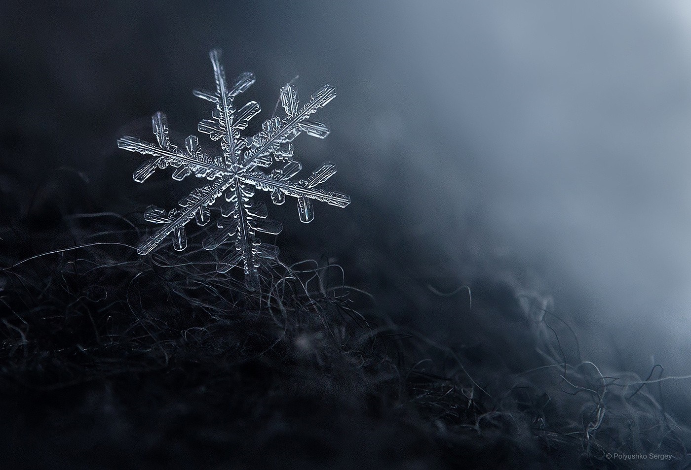 Macro photograph of a snowflake on dark fibers HD Wallpaper