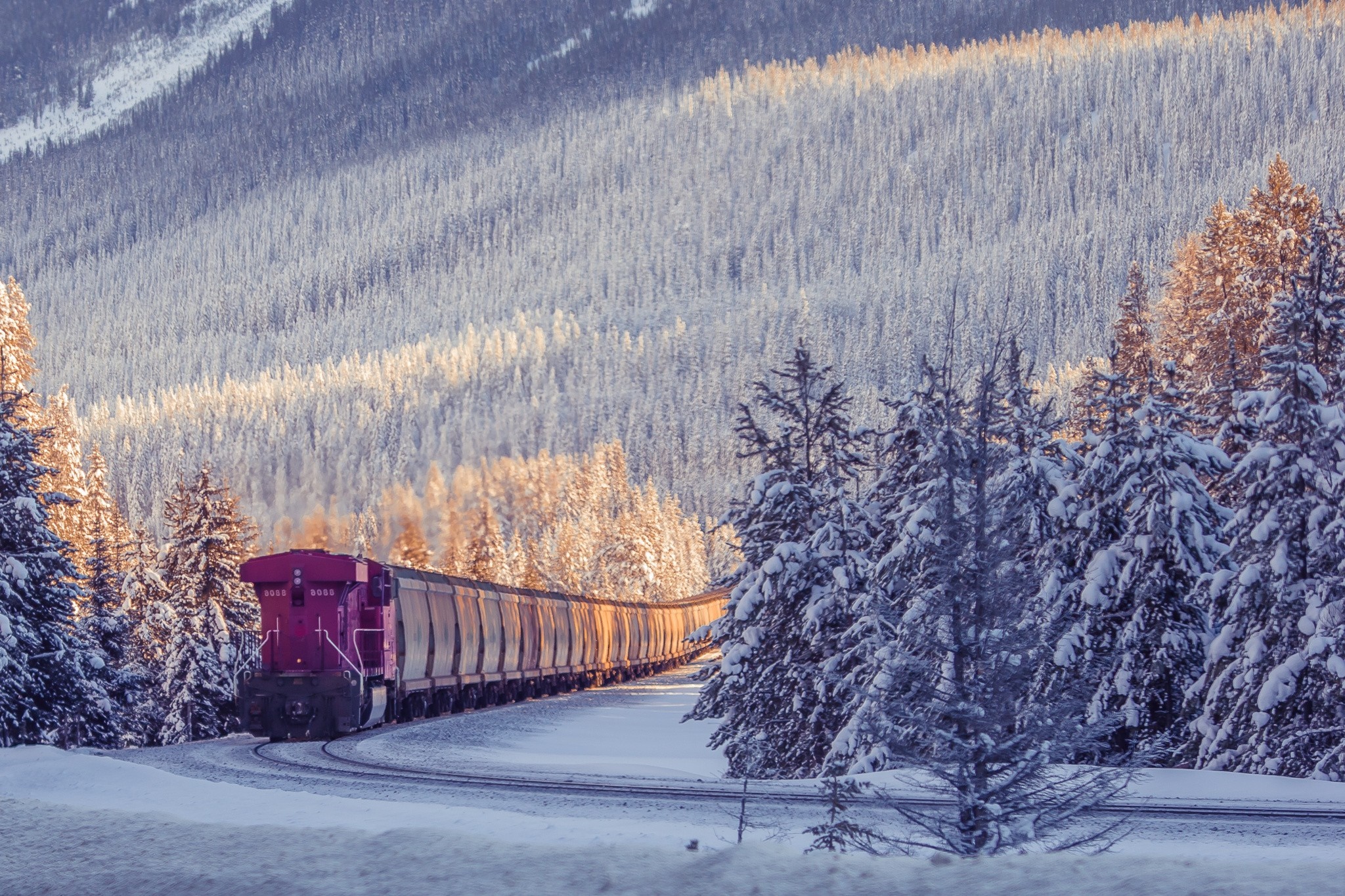 Train traveling through a snow-covered mountain forest HD Wallpaper