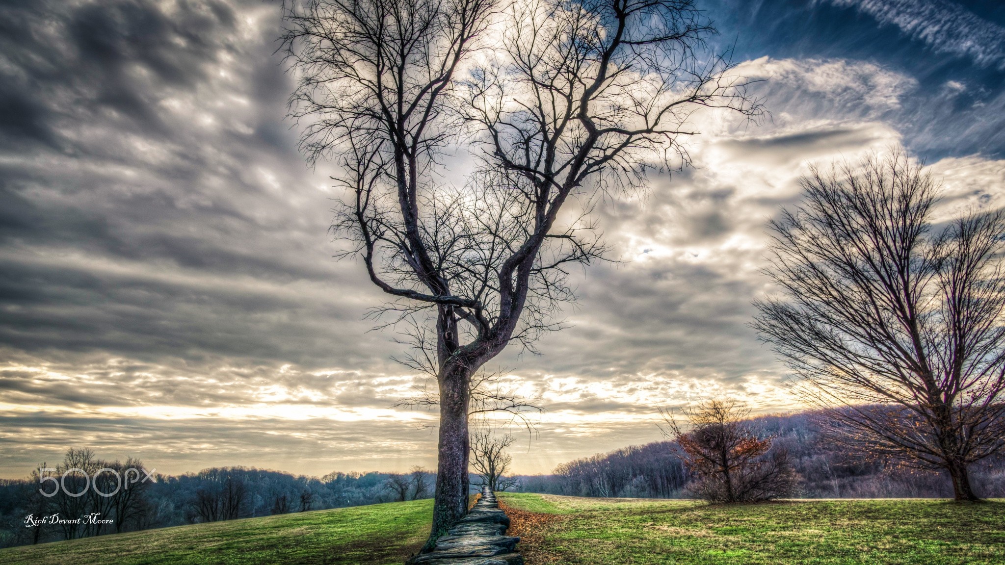 Bare trees on a path at sunset with dramatic clouds HD Wallpaper