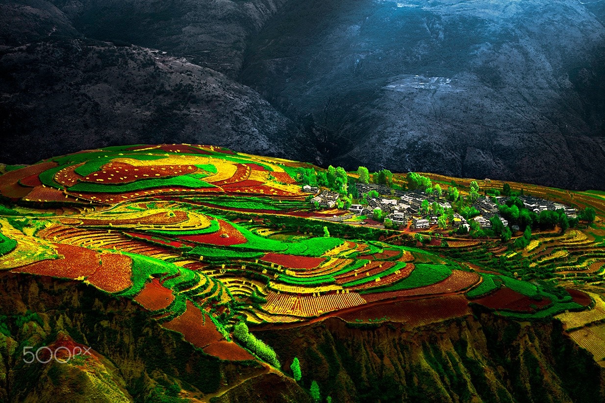 Colorful terraced fields in a mountainous landscape HD Wallpaper