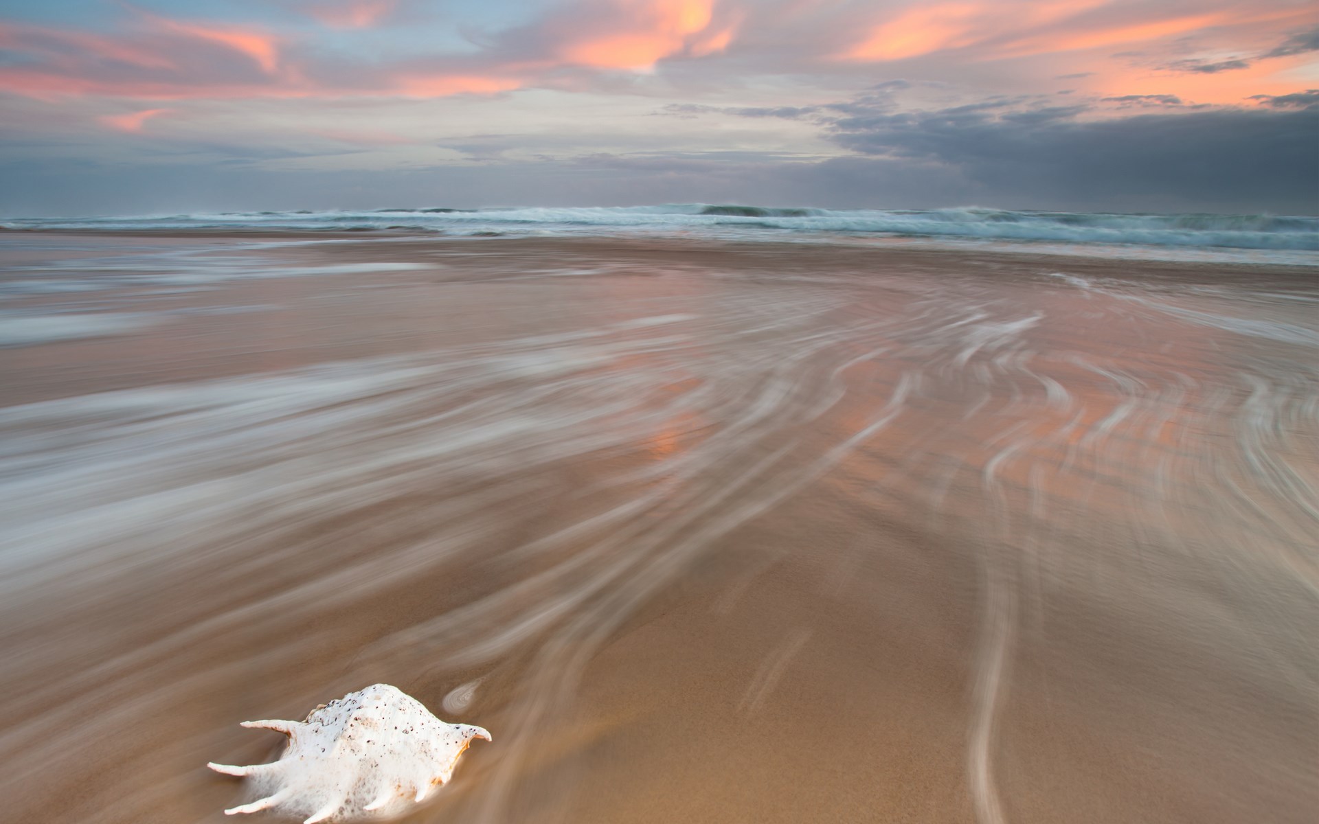 Seashell on a beach with waves at sunset HD Wallpaper