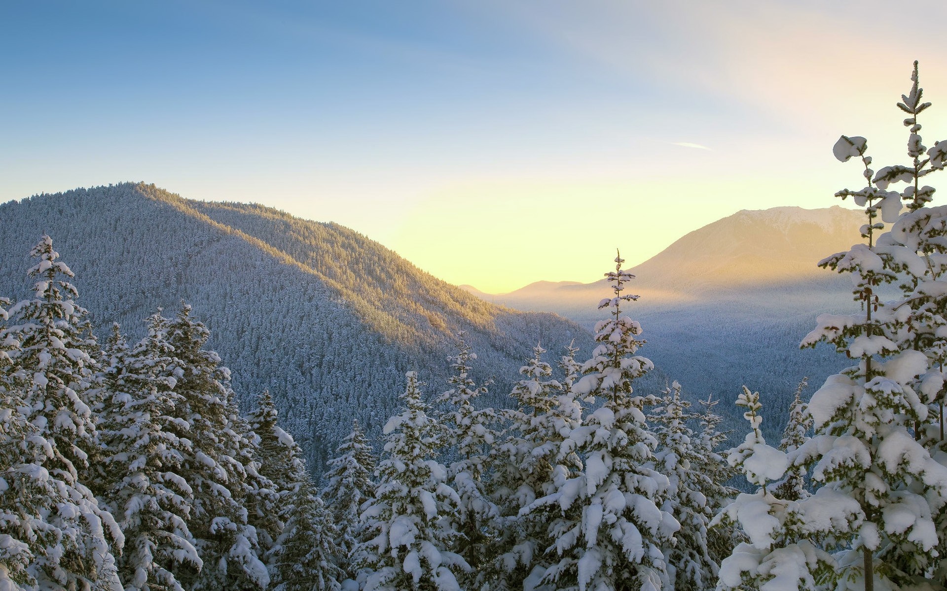 Snow-covered trees and mountains at sunrise HD Wallpaper