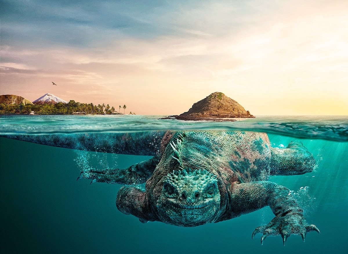 Marine Iguana Underwater with Tropical Islands HD Wallpaper