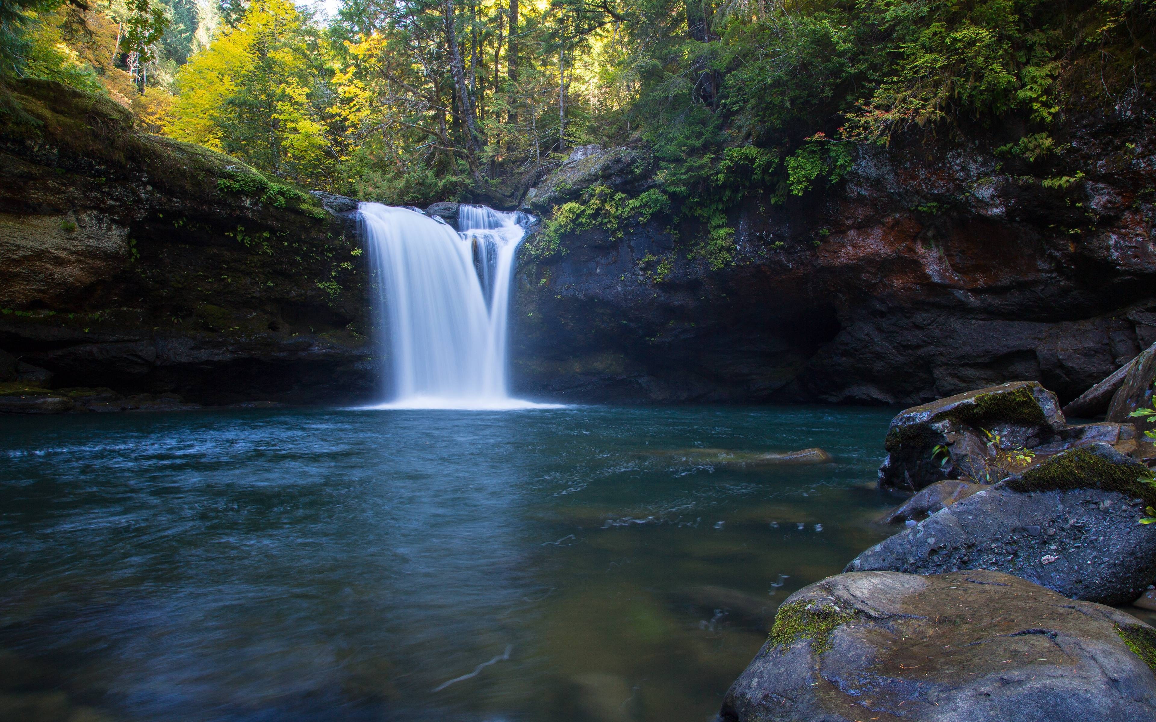 Waterfall flowing into a pool in a forest HD Wallpaper