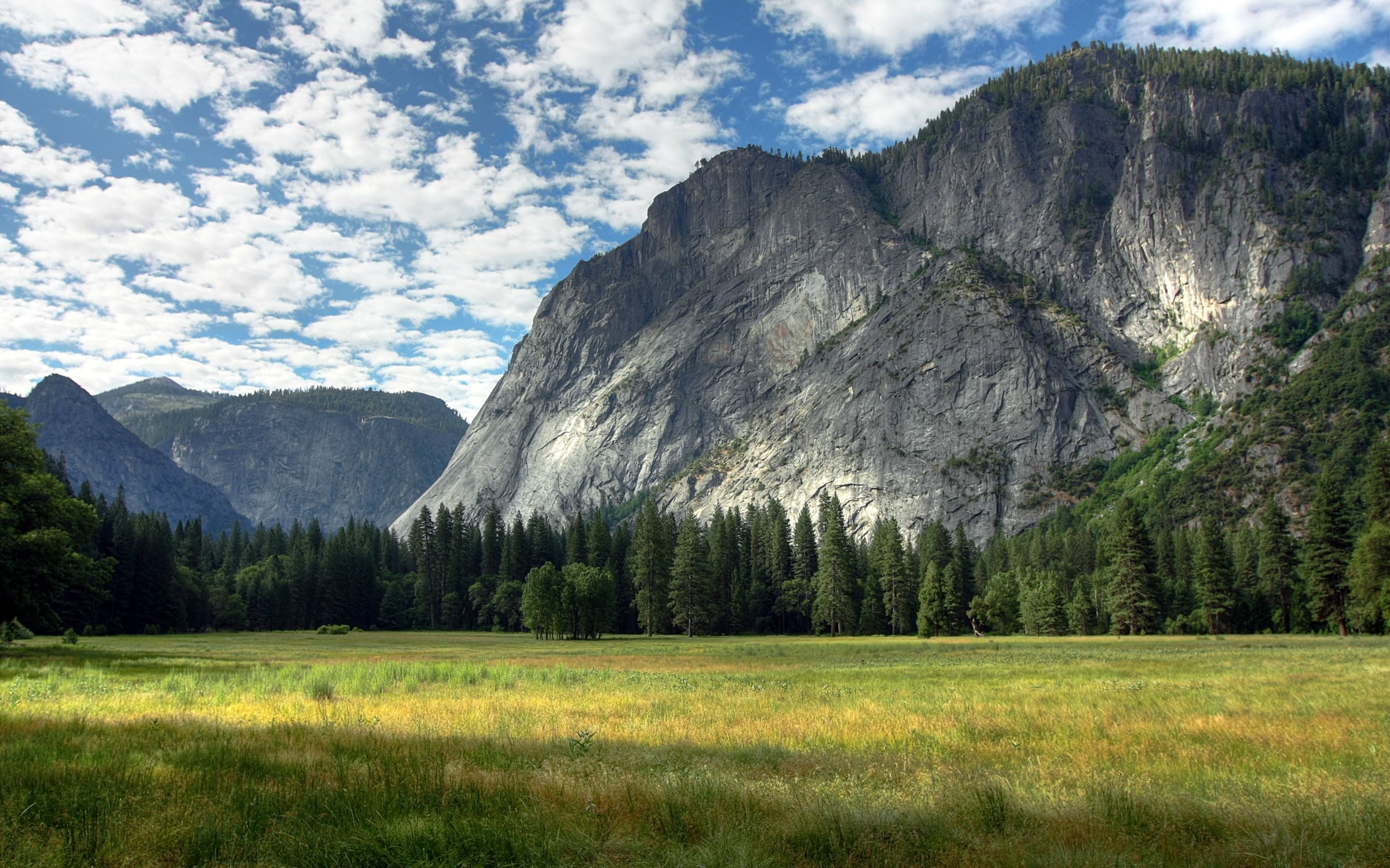 Meadow and mountains in Yosemite National Park HD Wallpaper