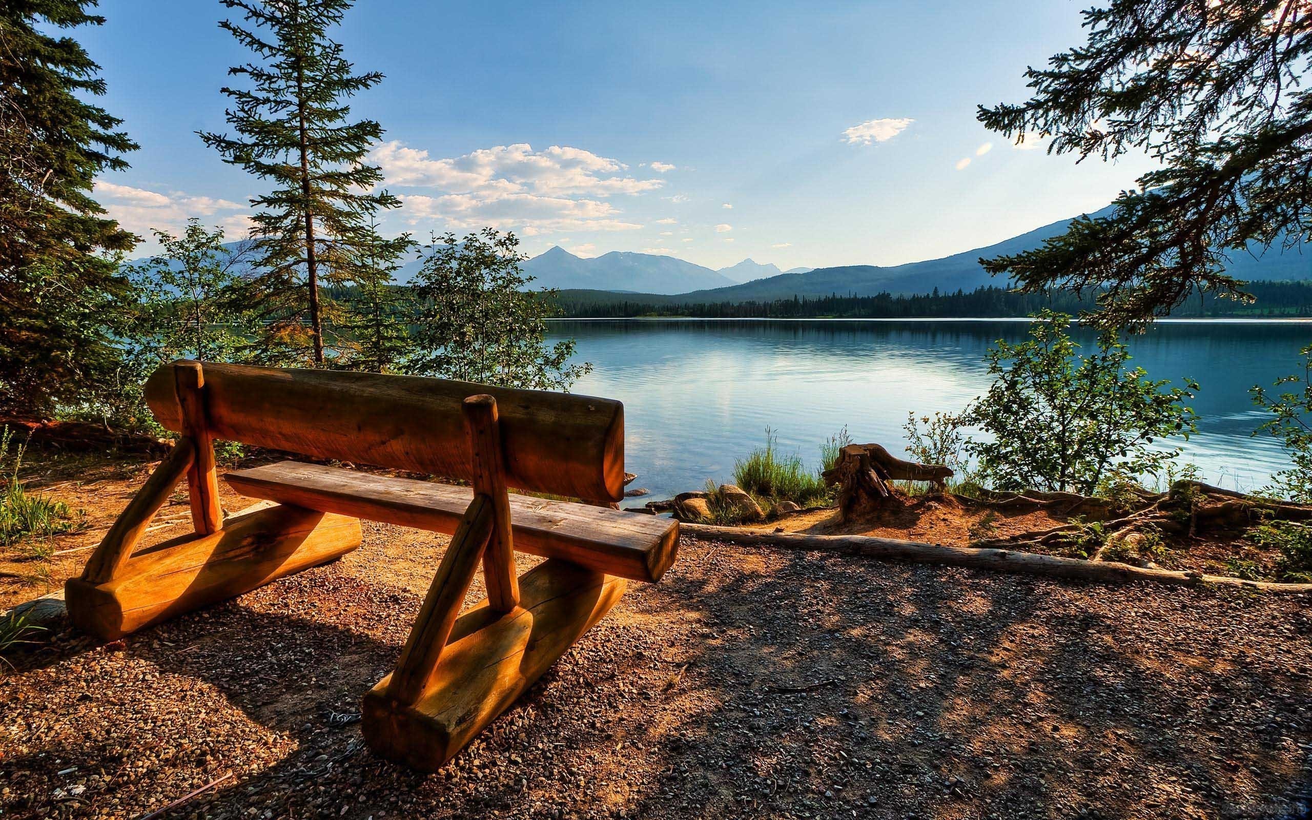 Wooden bench overlooking a calm lake with mountains in the distance HD Wallpaper